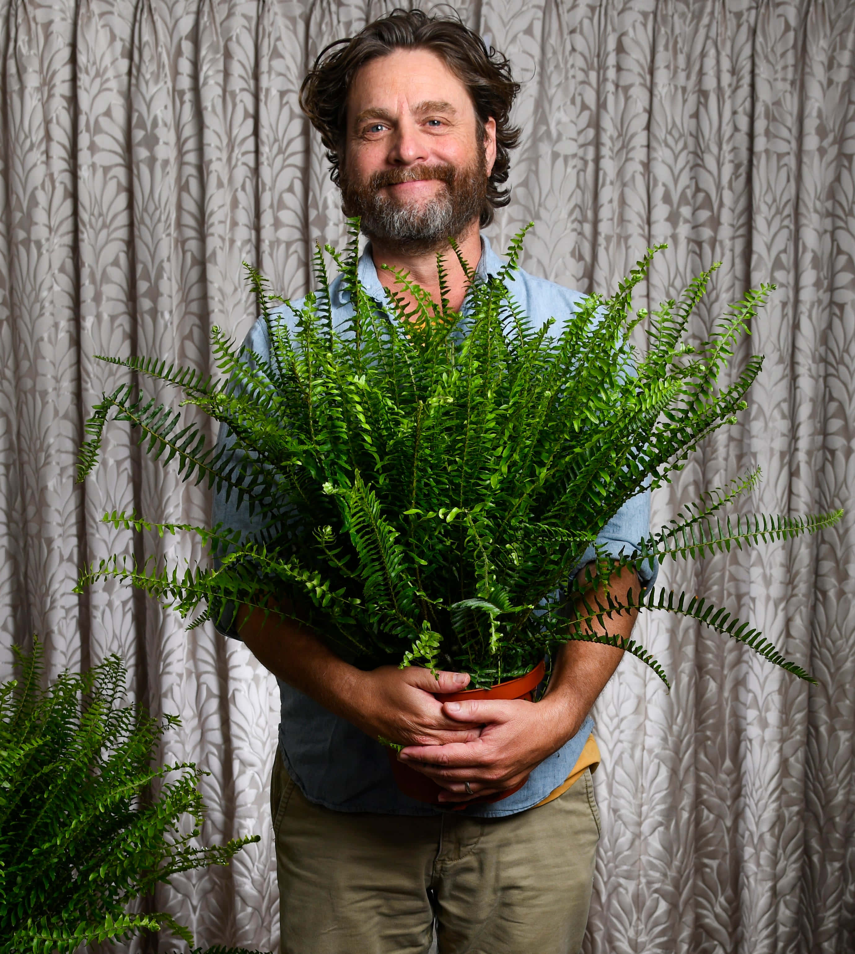 Zach Galifianakis, blue shirt, lush green fern, 2K Phone Wallpaper