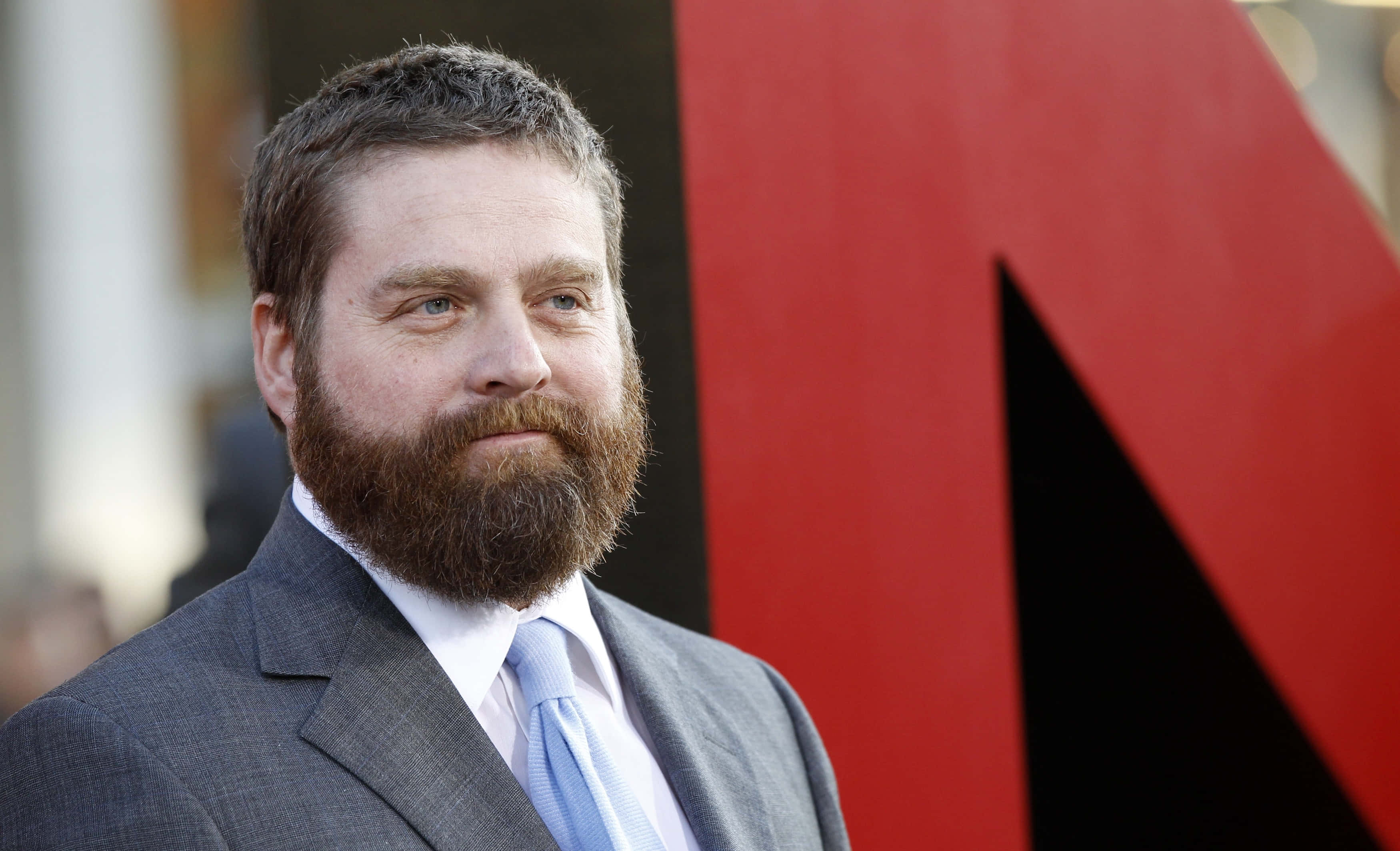 Zach Galifianakis, gray suit, light blue tie, 2K Desktop Wallpaper