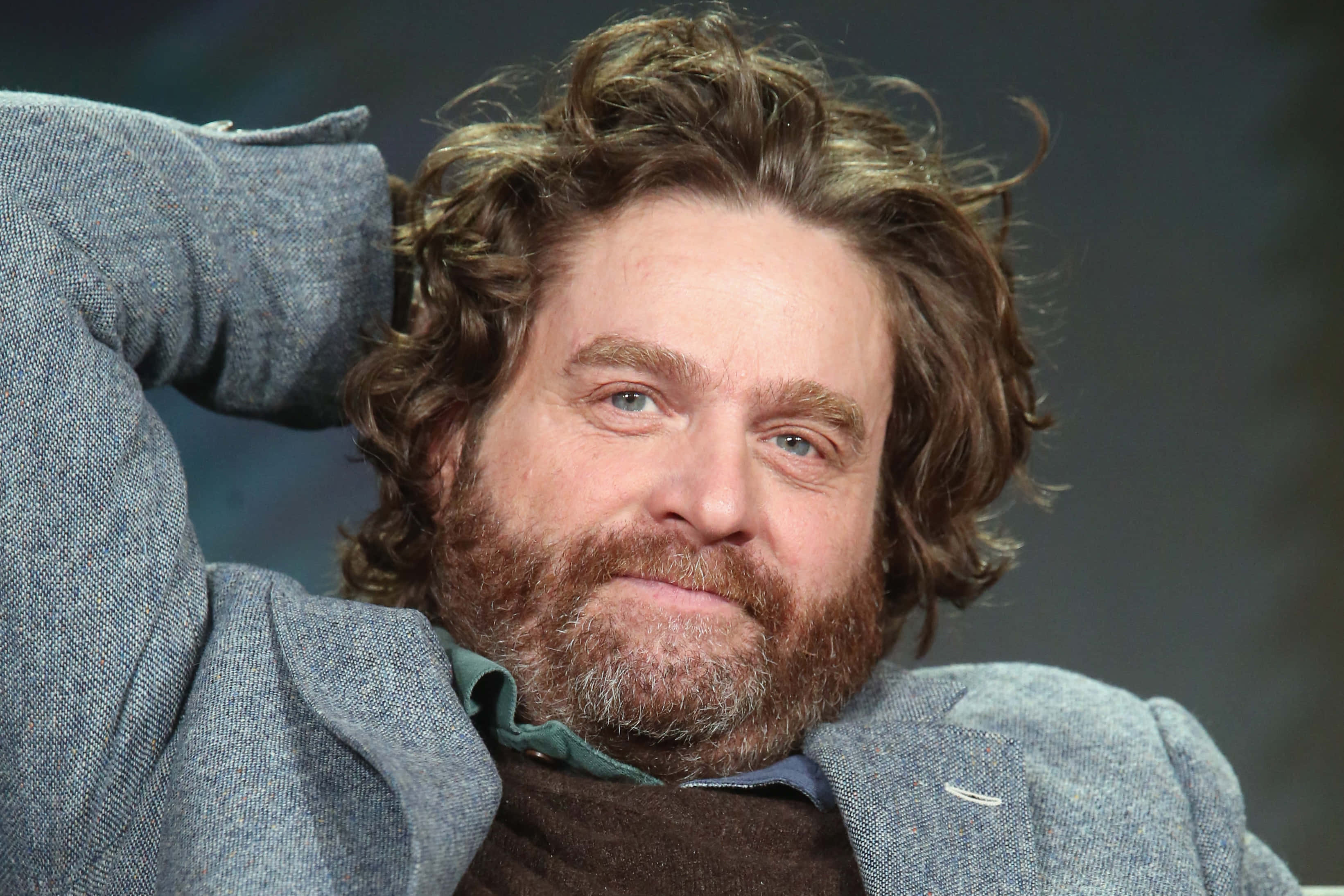 Zach Galifianakis, curly brown hair, full beard, 2K Desktop Wallpaper
