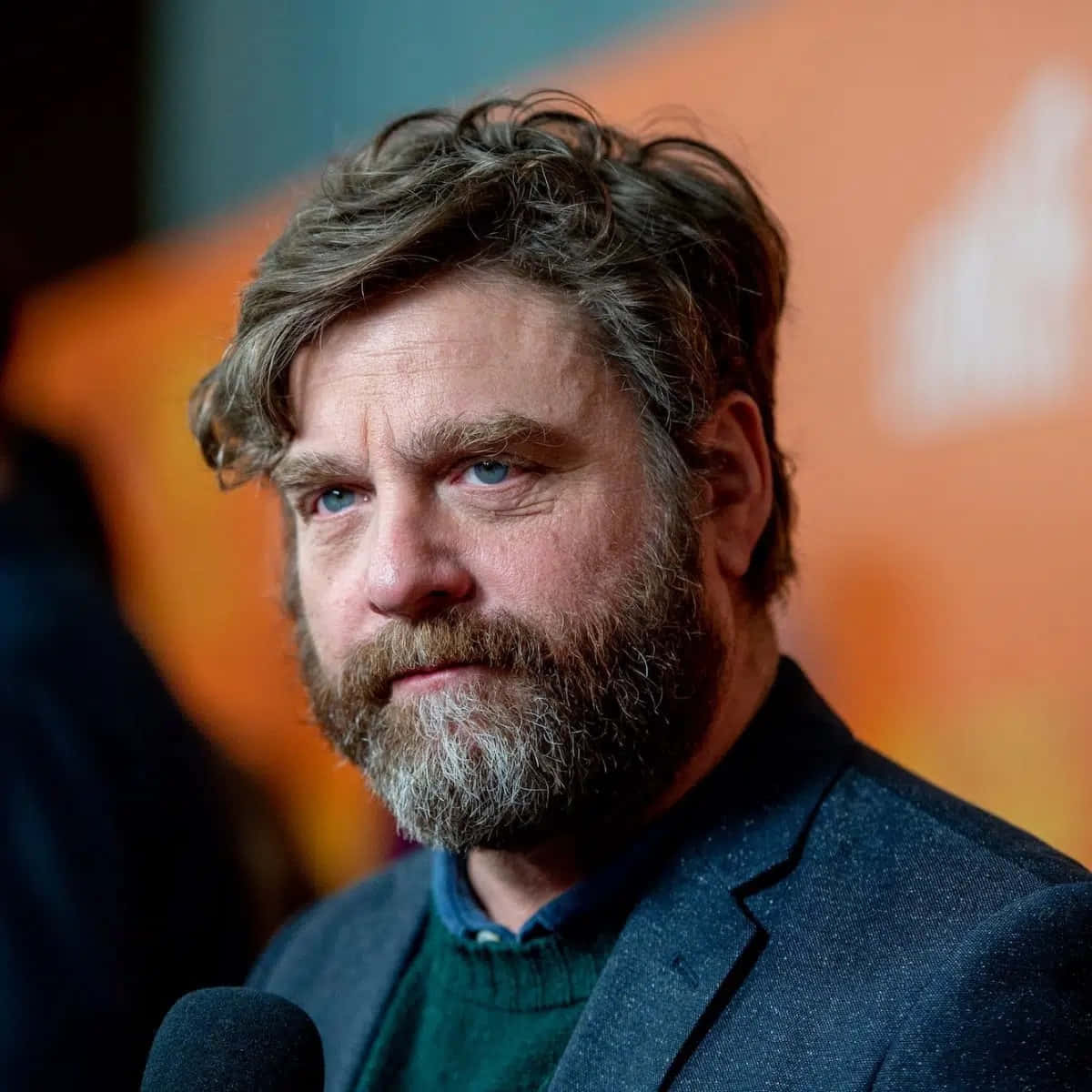 Zach Galifianakis, bearded man, intense blue eyes, SD Desktop Wallpaper