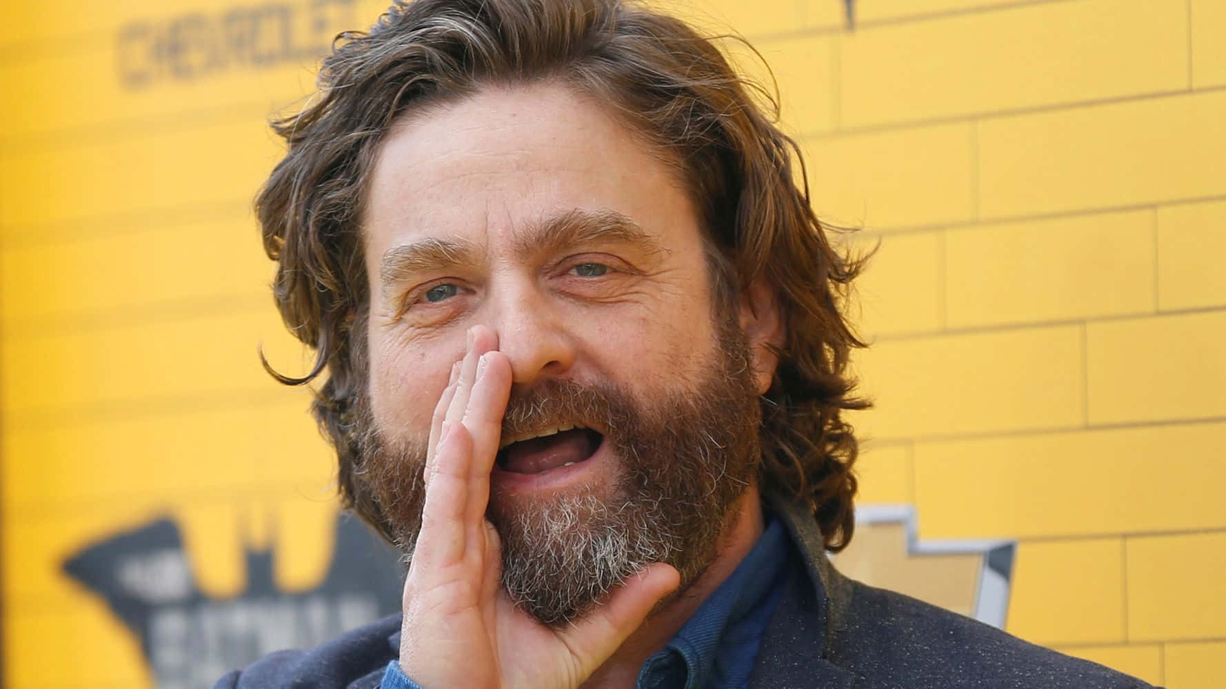 Zach Galifianakis, beard, tousled hair, HD Desktop Wallpaper