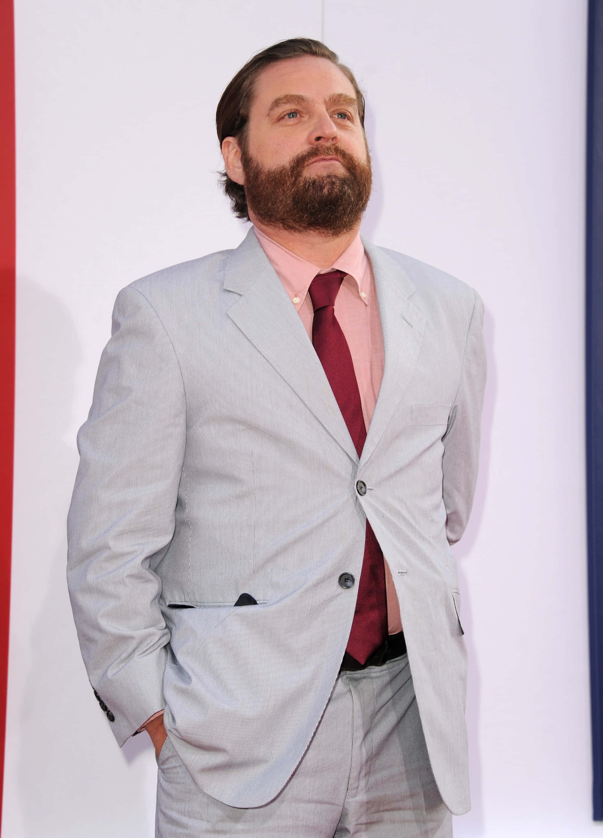 Zach Galifianakis, light gray suit, pink shirt, 2K Phone Wallpaper