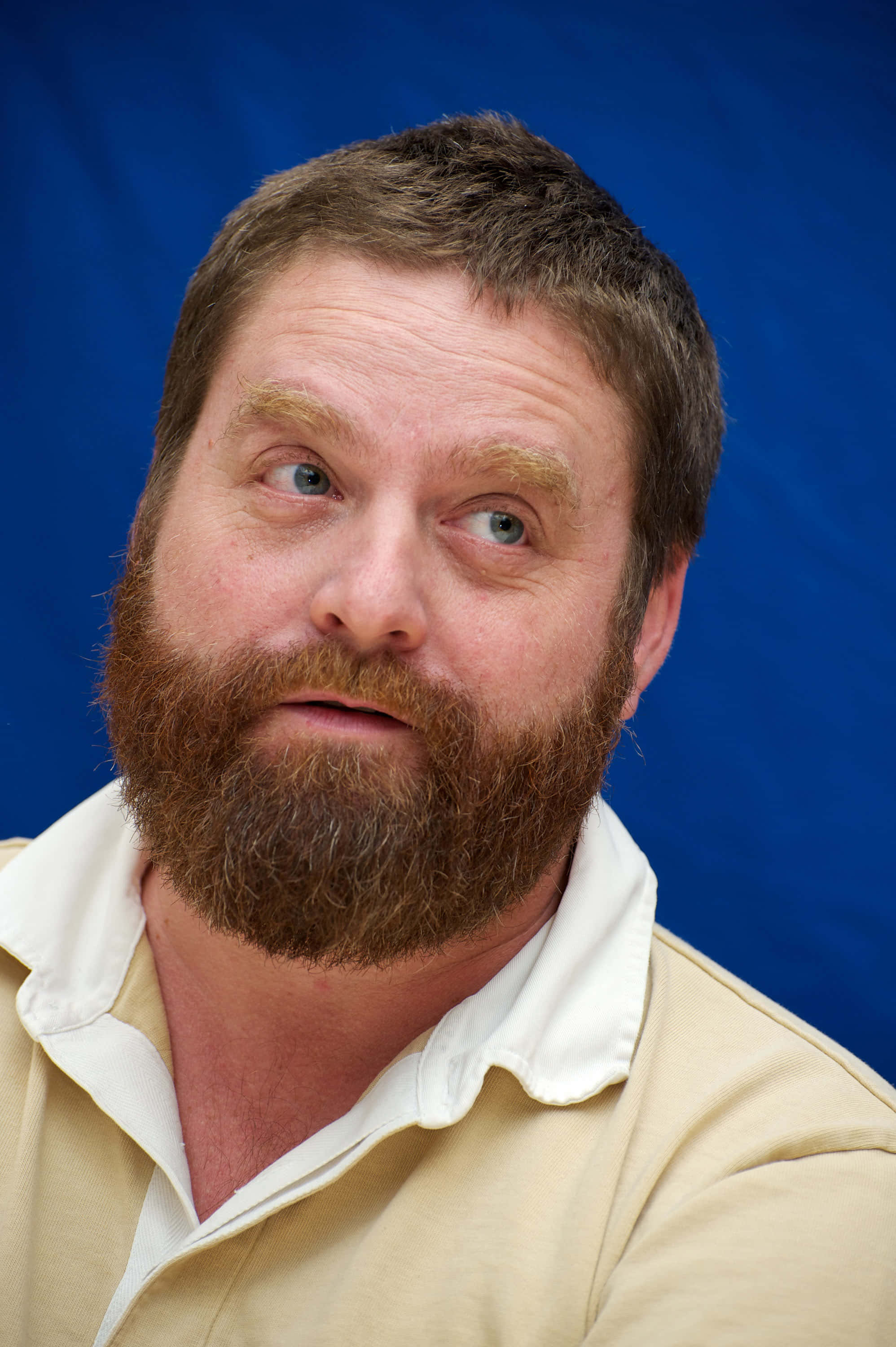 Zach Galifianakis, 1996, 3000, 2K Phone Wallpaper