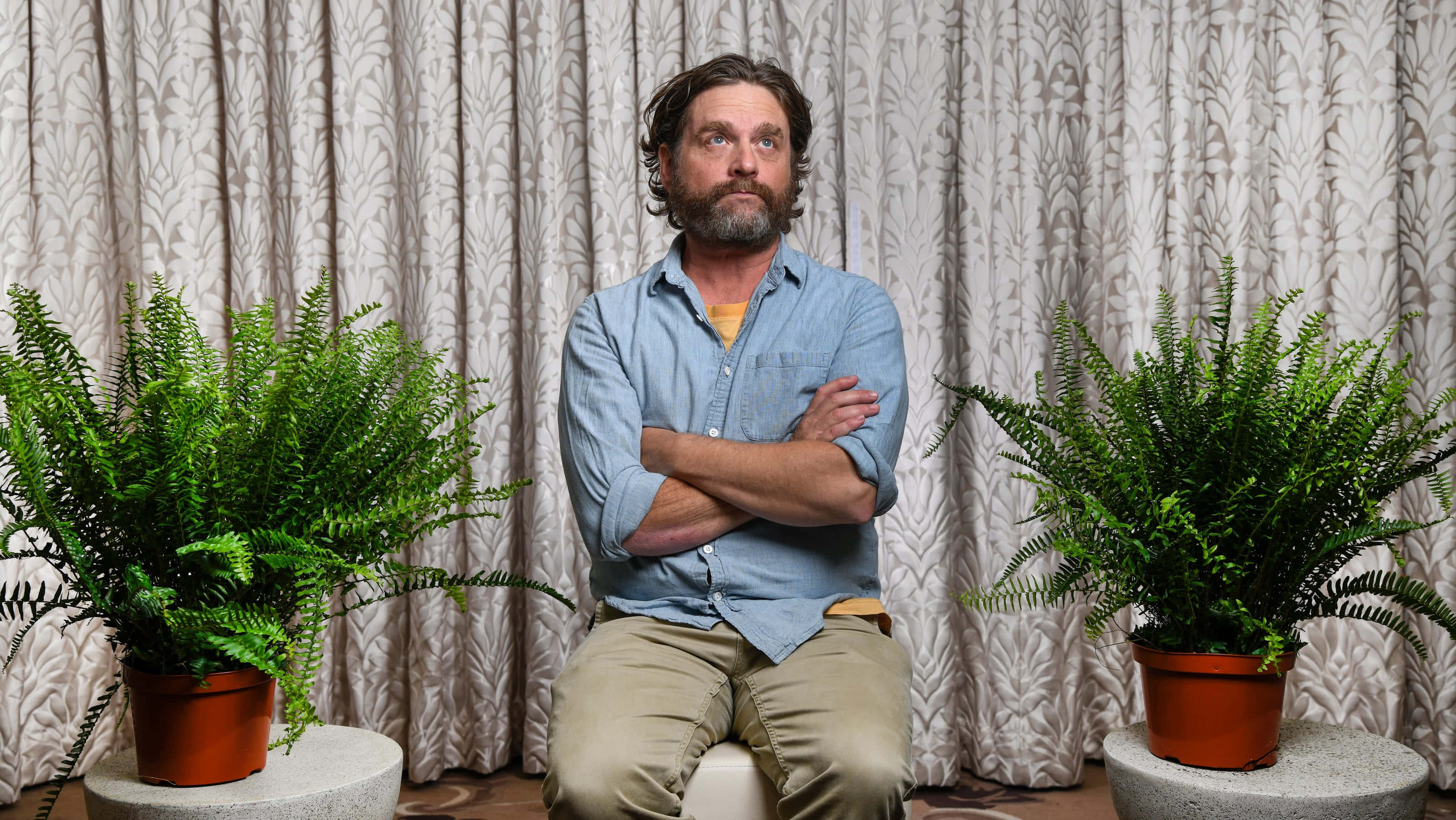 Zach Galifianakis, blue shirt, lush ferns, 2K Desktop Wallpaper