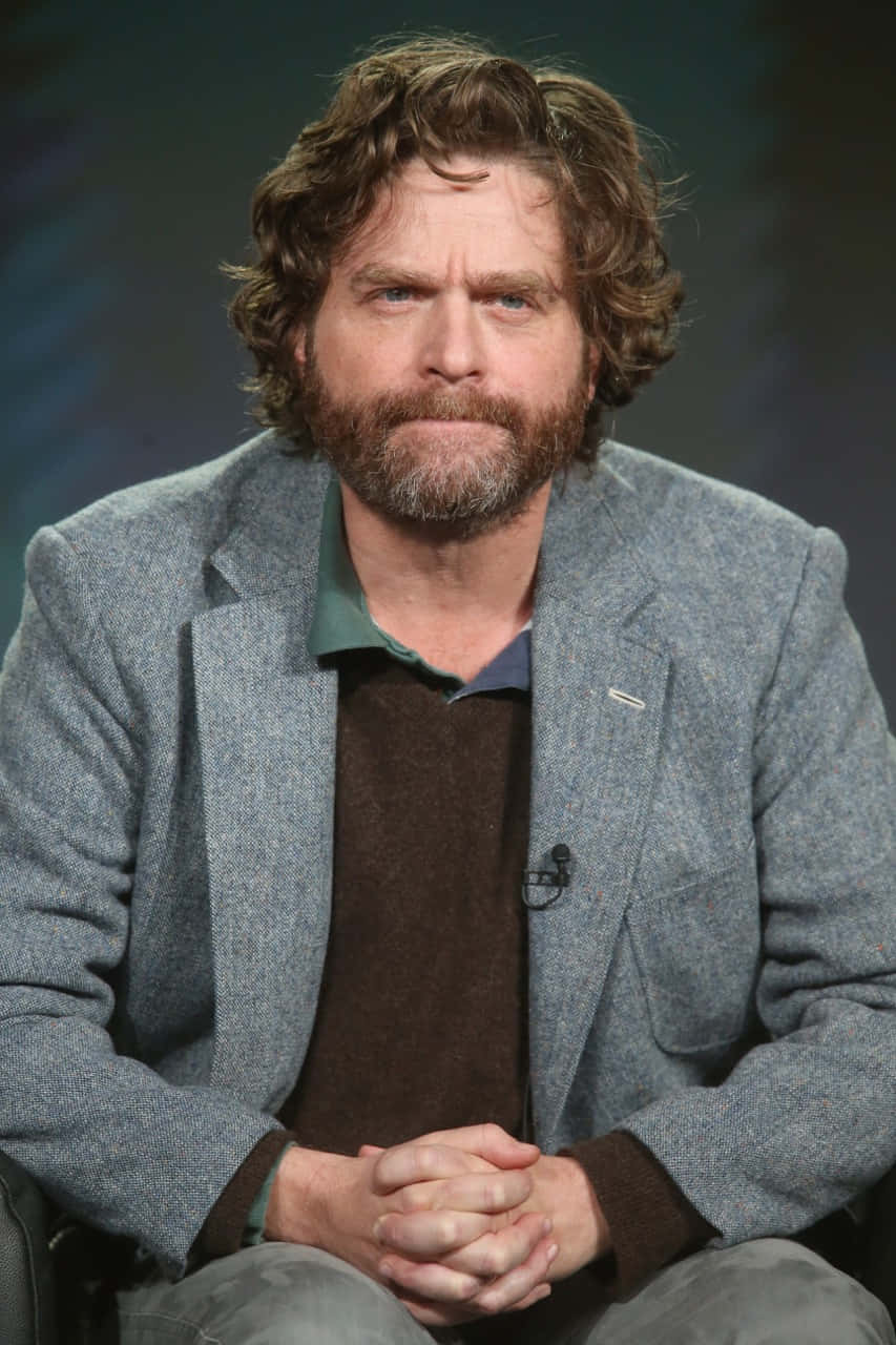Zach Galifianakis, curly brown hair, beard, HD Phone Wallpaper