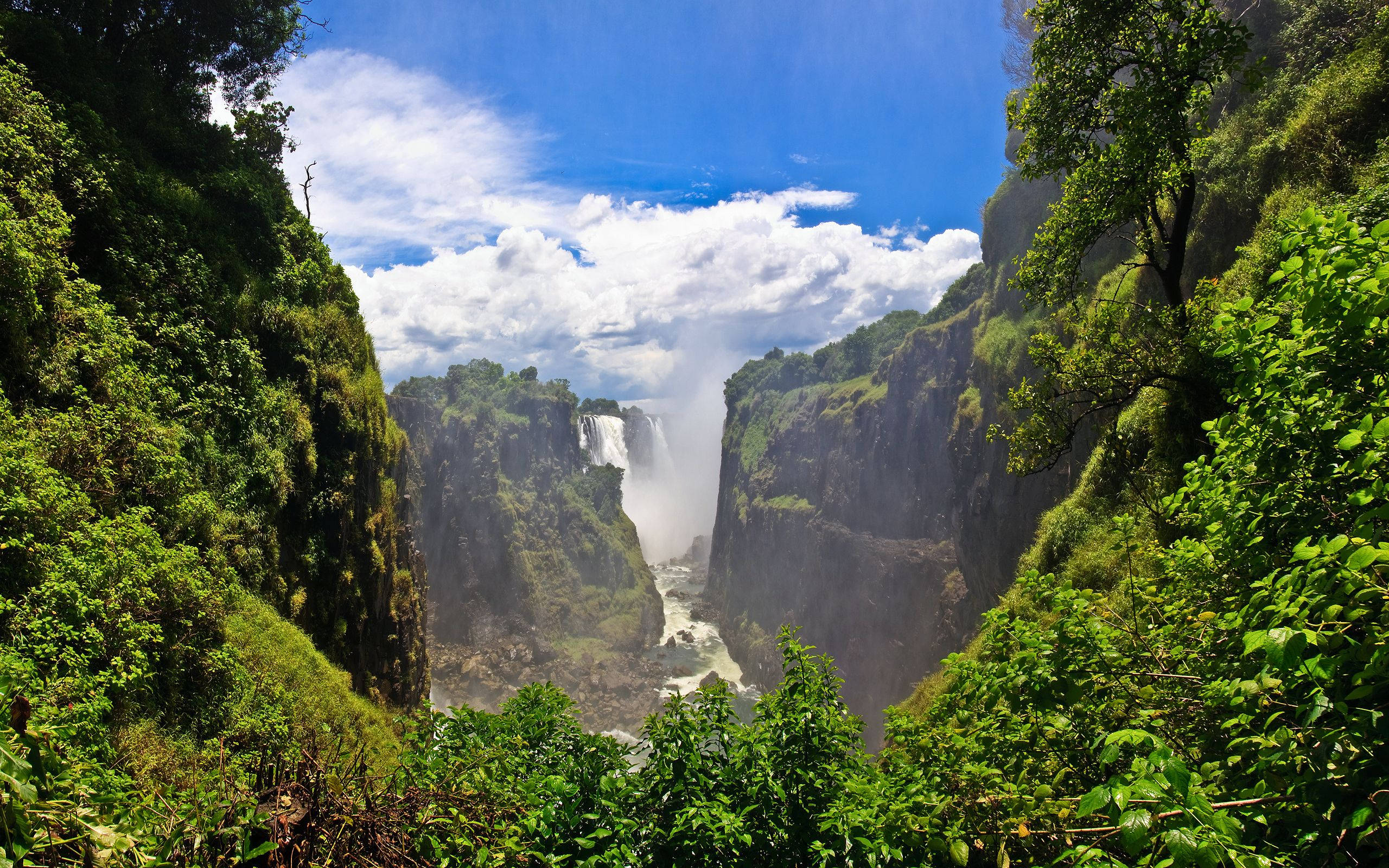 Zambia, forest, falls, 2K Desktop Wallpaper