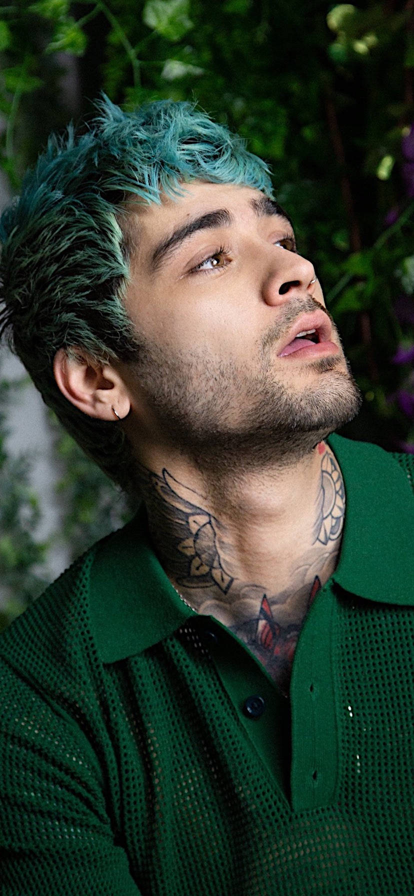 Zayn iPhone, teal hair, neck tattoos, HD Phone Wallpaper