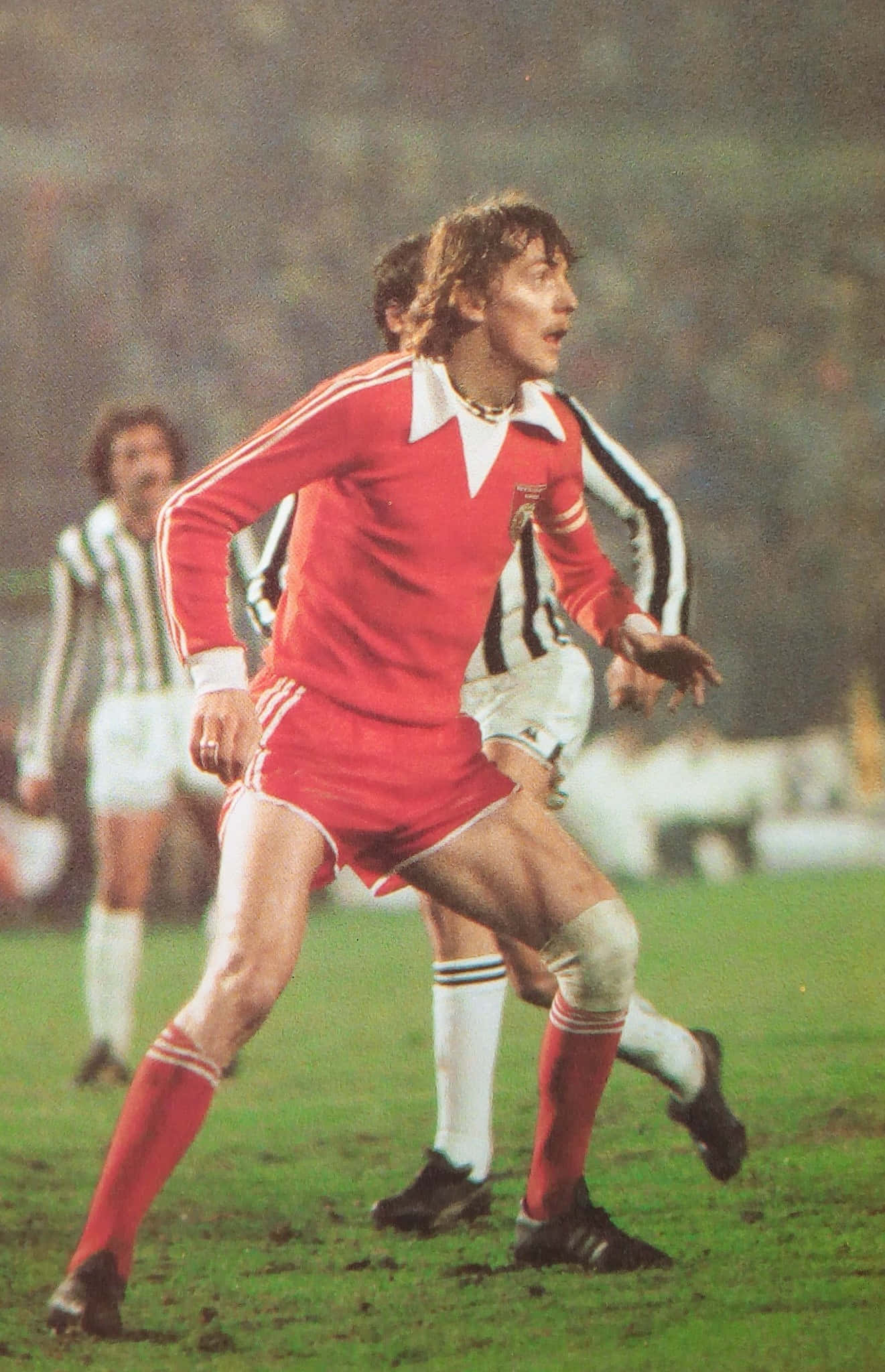 Zbigniew Boniek, 1980 1981 UEFA Cup, red striped jersey, Full HD Phone Wallpaper