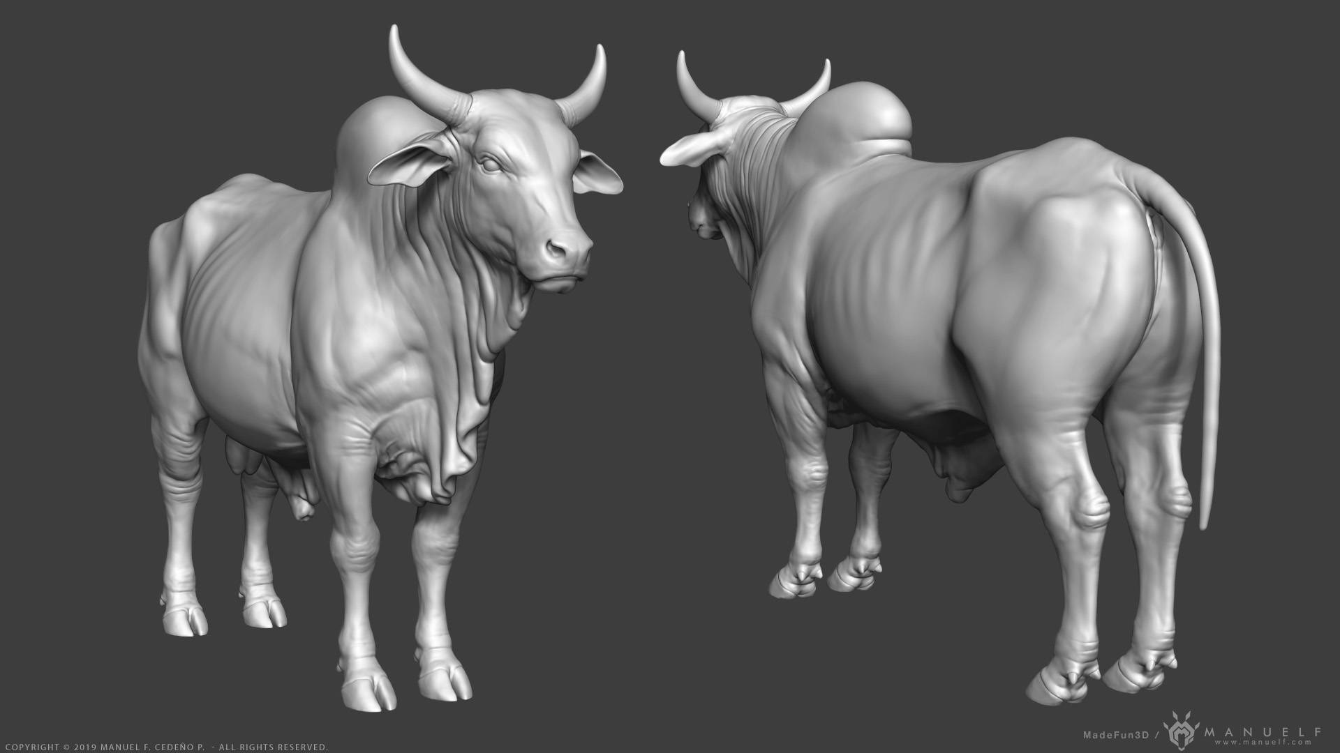 Zebu, 3D art, bulls, Full HD Desktop Wallpaper