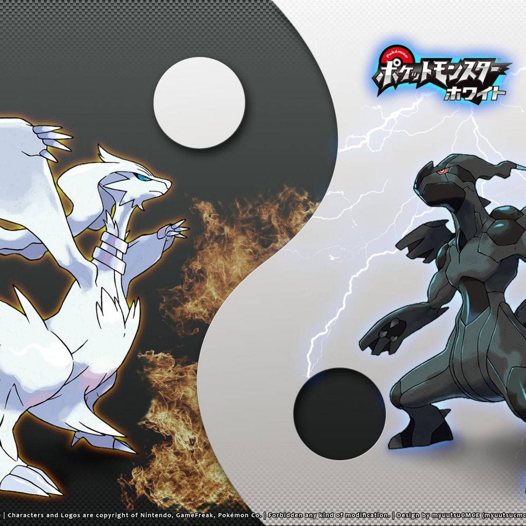 Zekrom, yin-yang design, white dragon-like Pokémon, SD Desktop Wallpaper