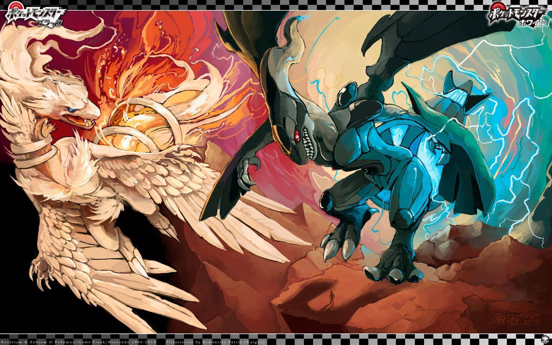 Zekrom, fiery white phoenix, dark blue electric dragon, Full HD Desktop Wallpaper