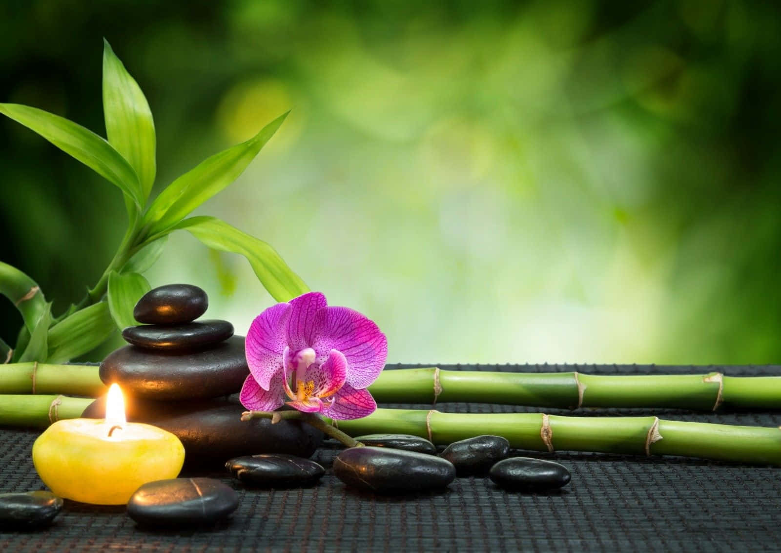 Zen Desktop, violet flower, lit candle, HD Desktop Wallpaper