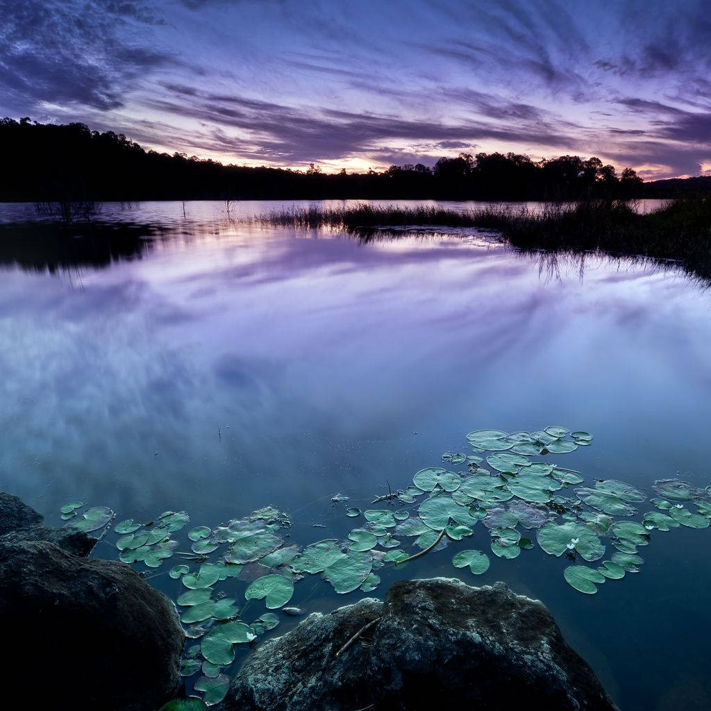Zen Water Lake, twilight lake, dramatic purple sky, SD Desktop Wallpaper