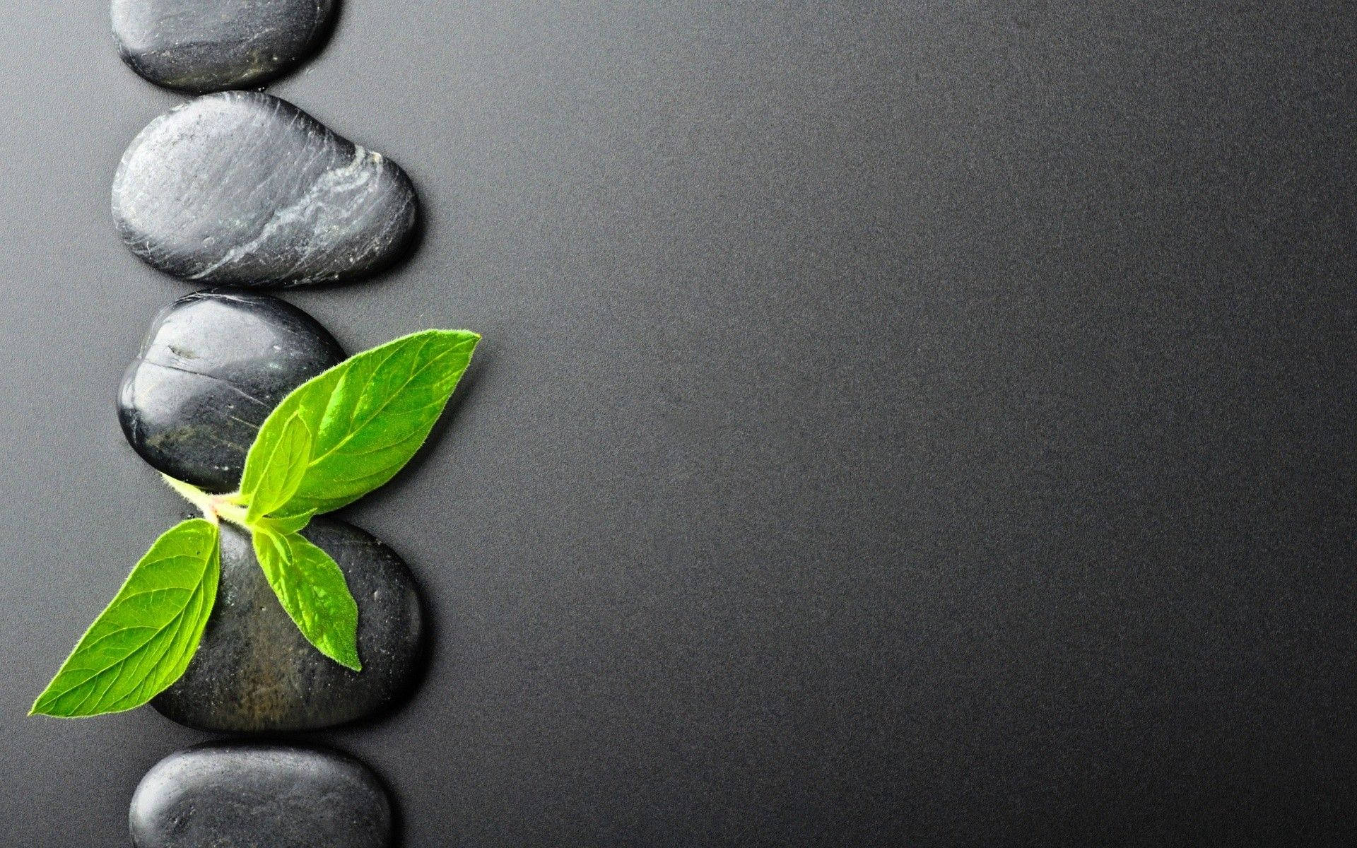 zen stones, black background, smooth black stones, Full HD Desktop Wallpaper