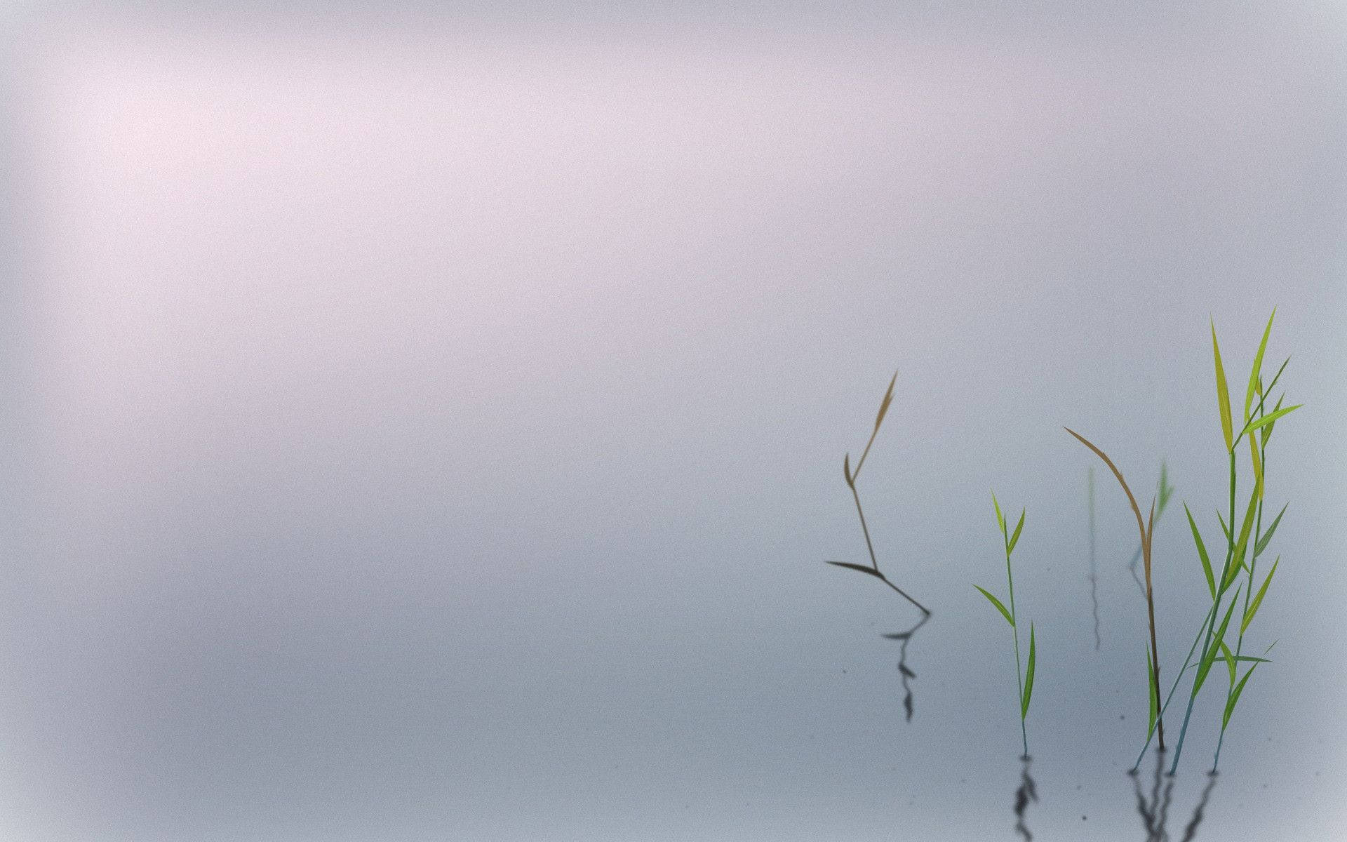 Zen, minimalist nature scene, delicate green reeds, Full HD Desktop Wallpaper