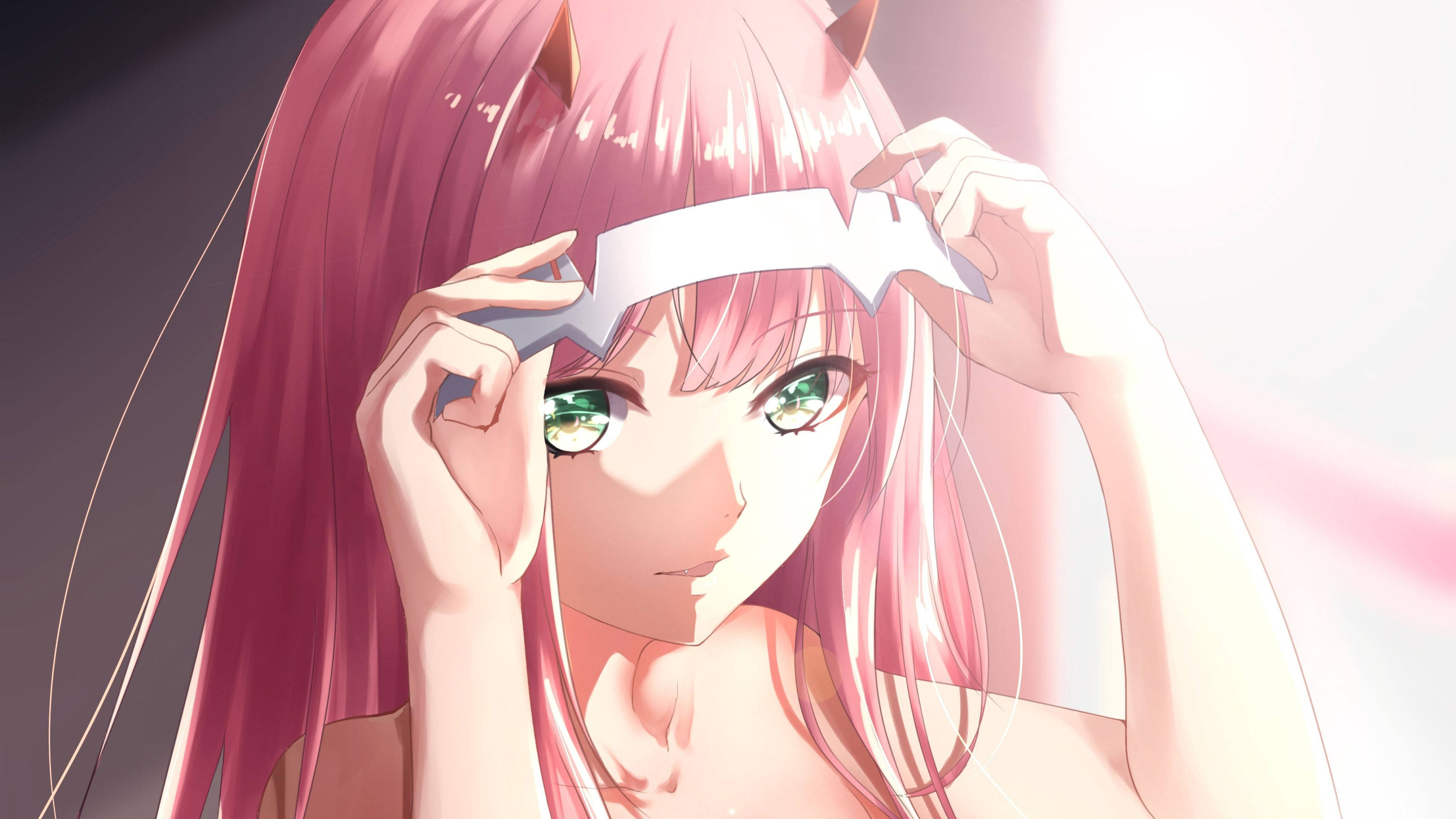 Zero Two, pink-haired anime girl, cat ears, 4K Desktop Wallpaper