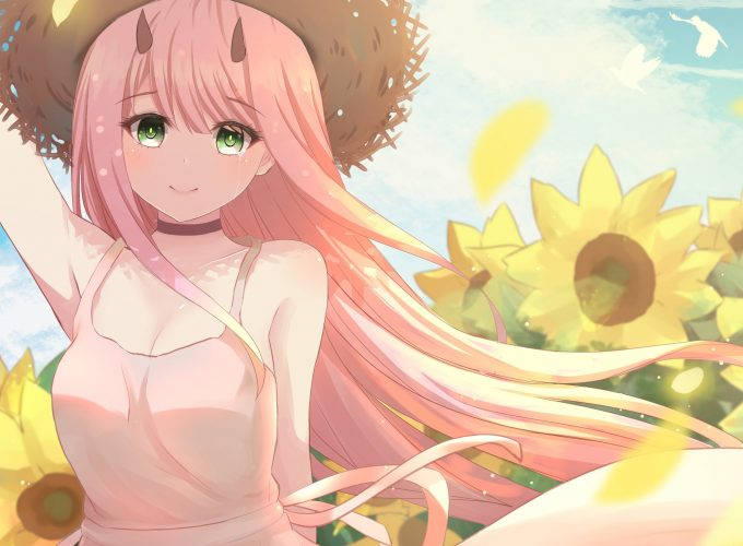 Zero Two, sunflowers, sunflower field, SD Desktop Wallpaper
