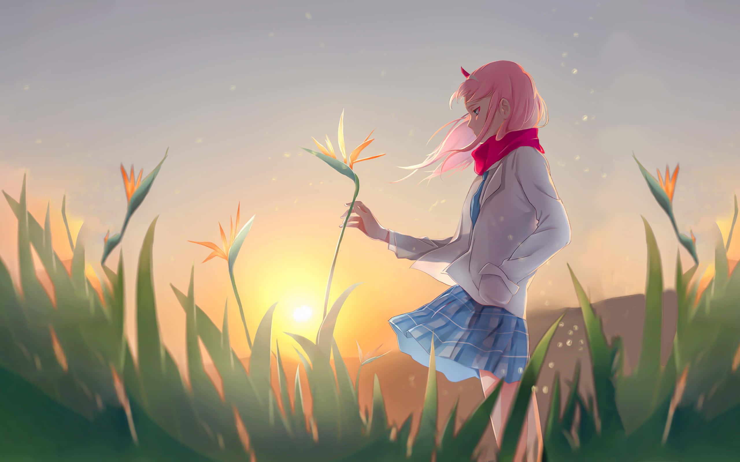 Zero Two, pink-haired anime girl, school uniform, 2K Desktop Wallpaper