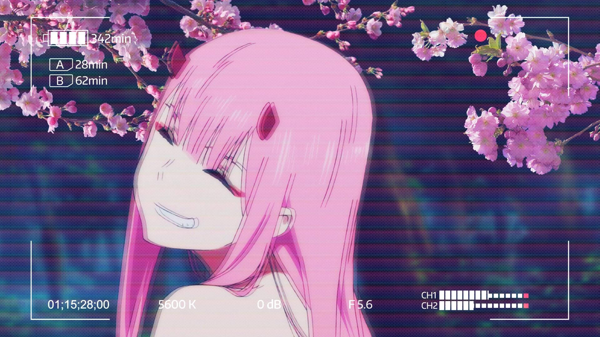 Zero Two, cherry blossoms, glitchy digital background, Full HD Desktop Wallpaper