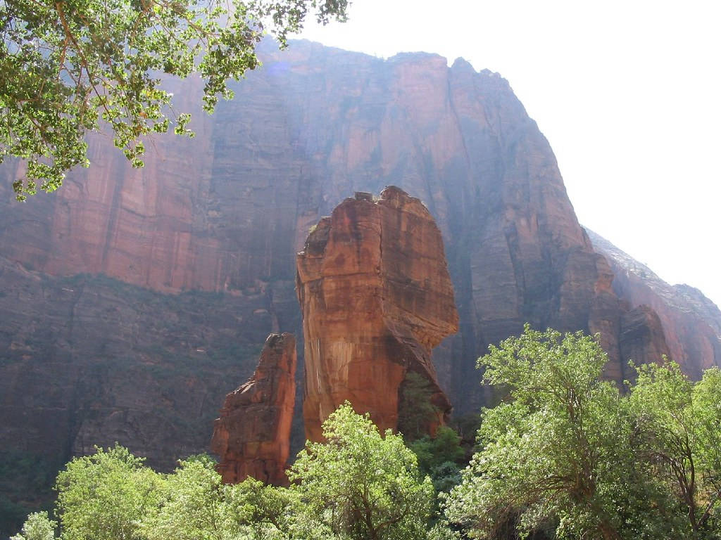 Zion National Park, red sandstone cliffs, vibrant green trees, SD Desktop Wallpaper