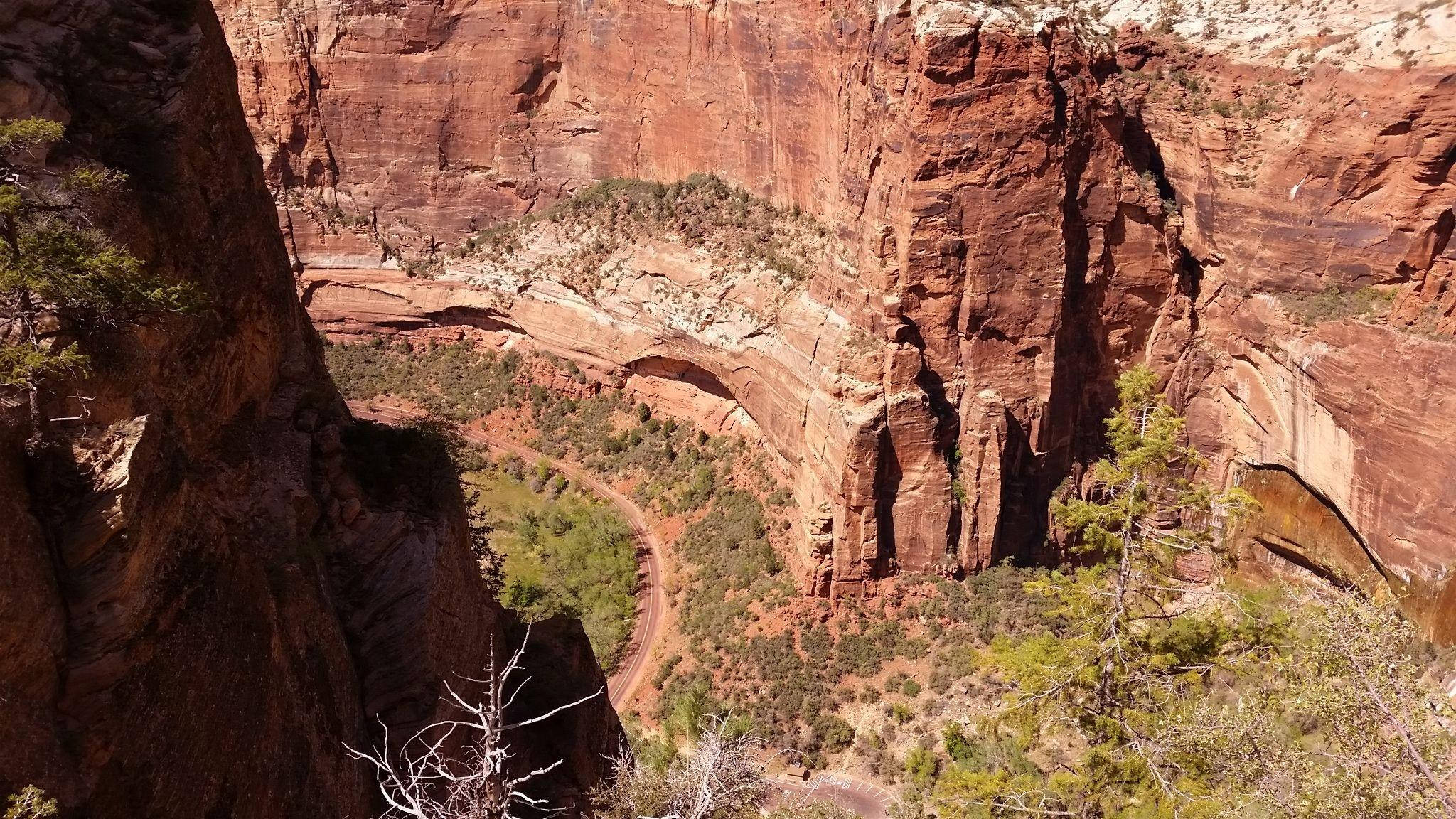 Zion National Park, winding road, deep red canyon, Full HD Desktop Wallpaper
