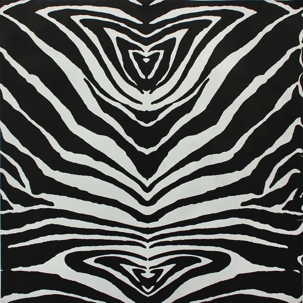 zebra print, black and white zebra stripes, symmetrical hypnotic pattern, SD Desktop Wallpaper