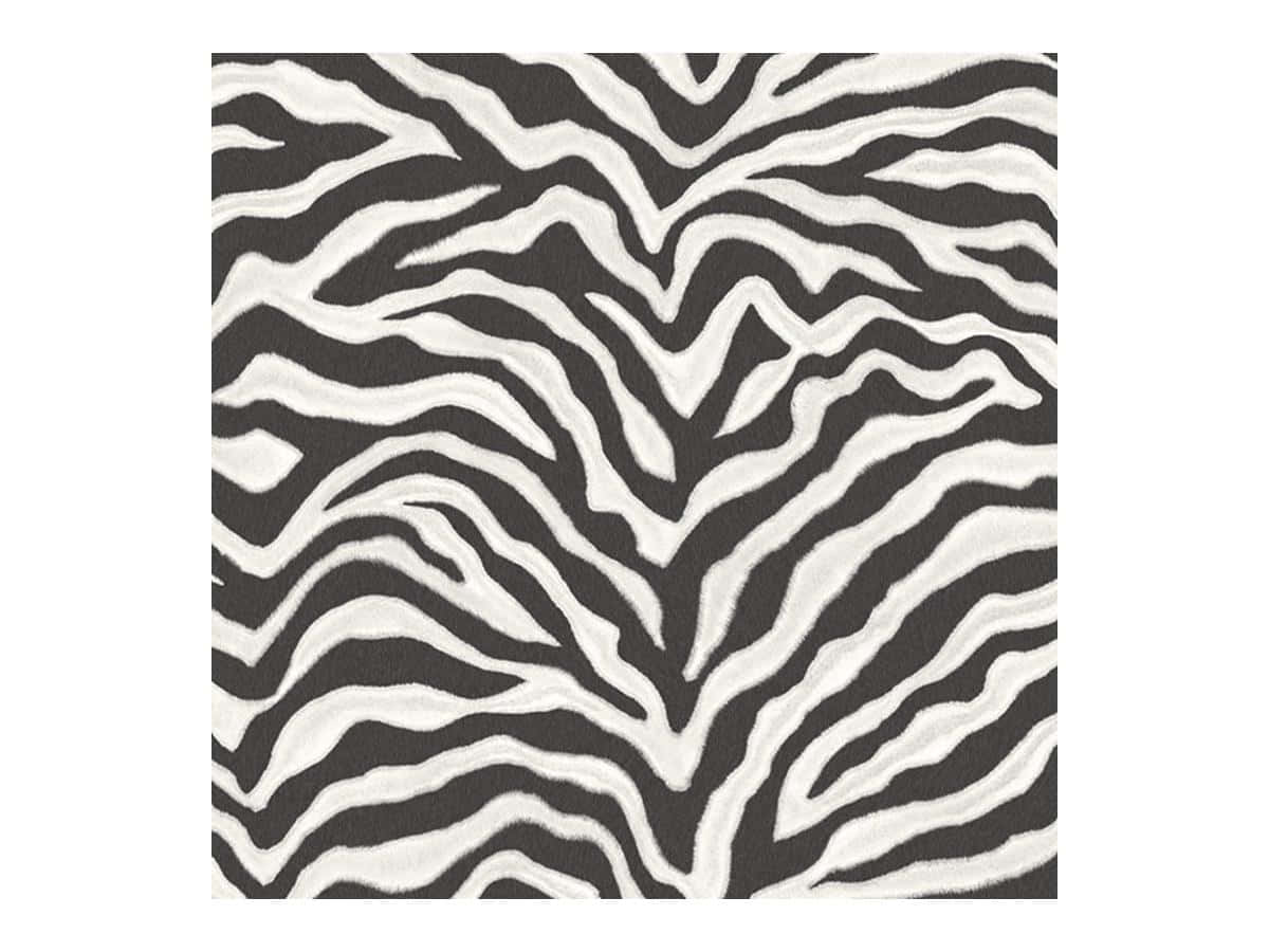 zebra print, black and white stripes, textured surface, SD Desktop Wallpaper