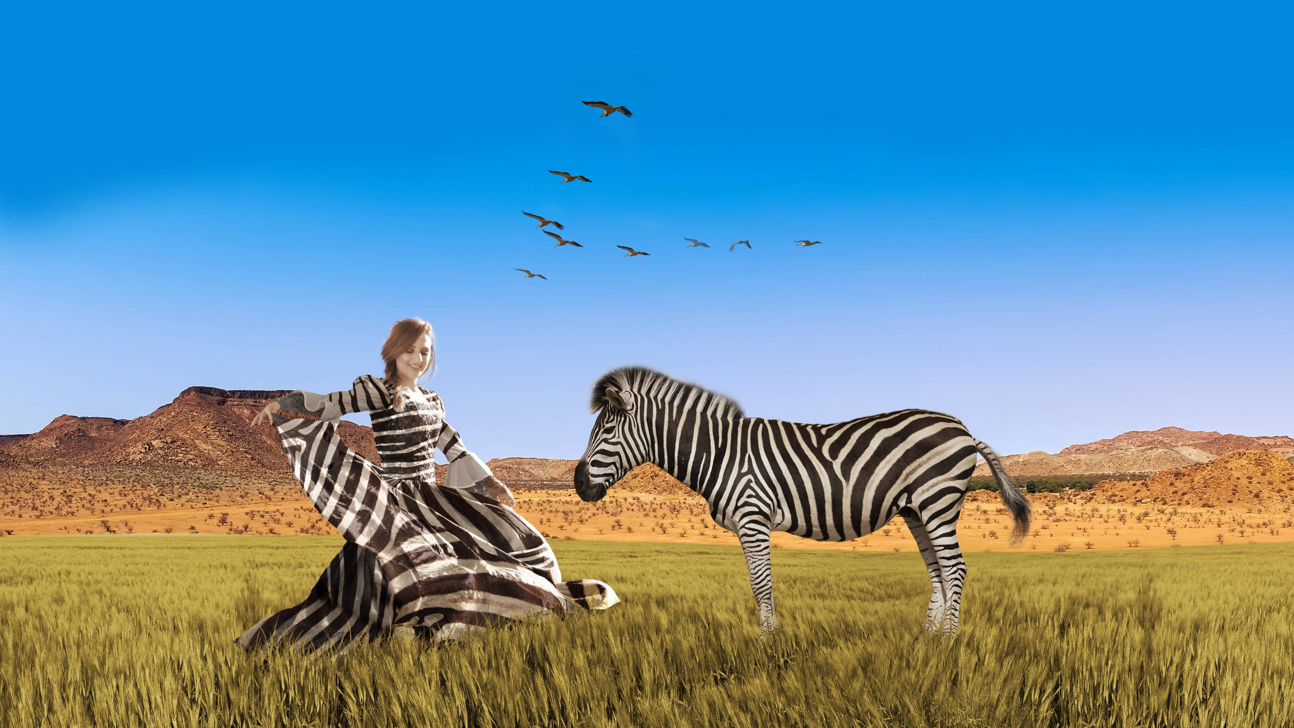 zebra-striped dress, zebra, grassy savanna, 2K Desktop Wallpaper