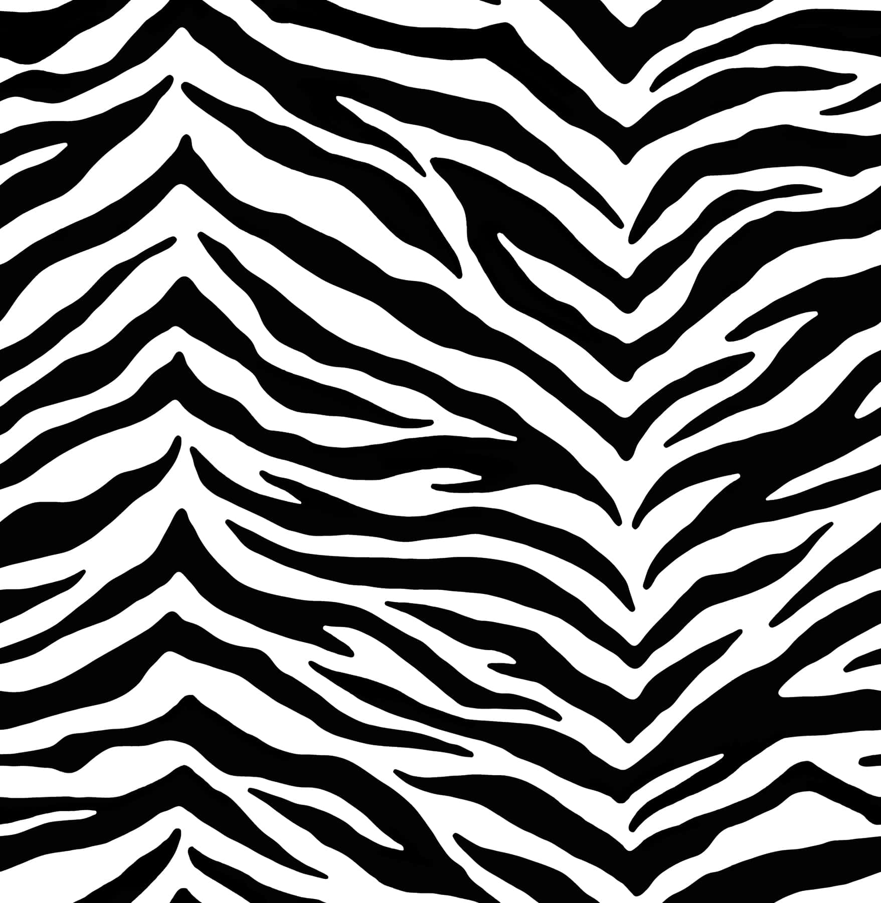 zebra print, black and white, stripes, HD Phone Wallpaper