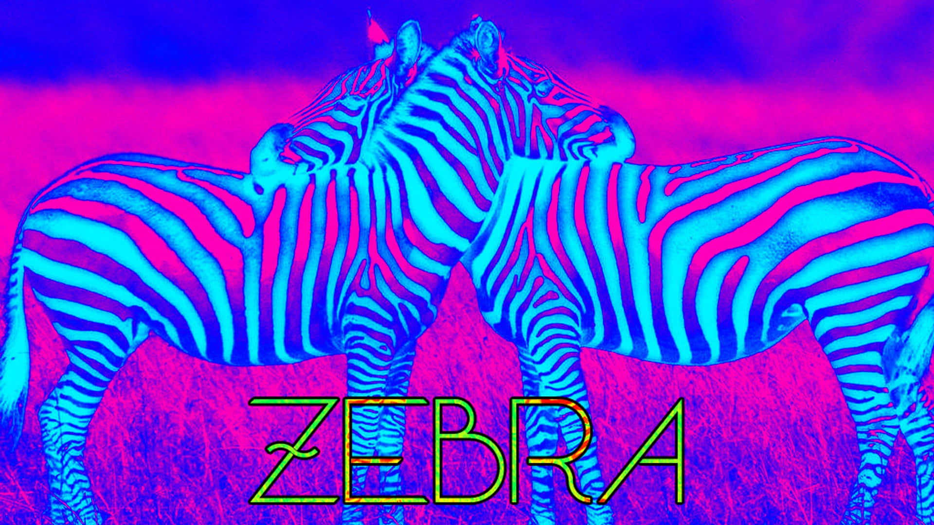 neon blue, pink zebra, vibrant gradient sky, Full HD Desktop Wallpaper