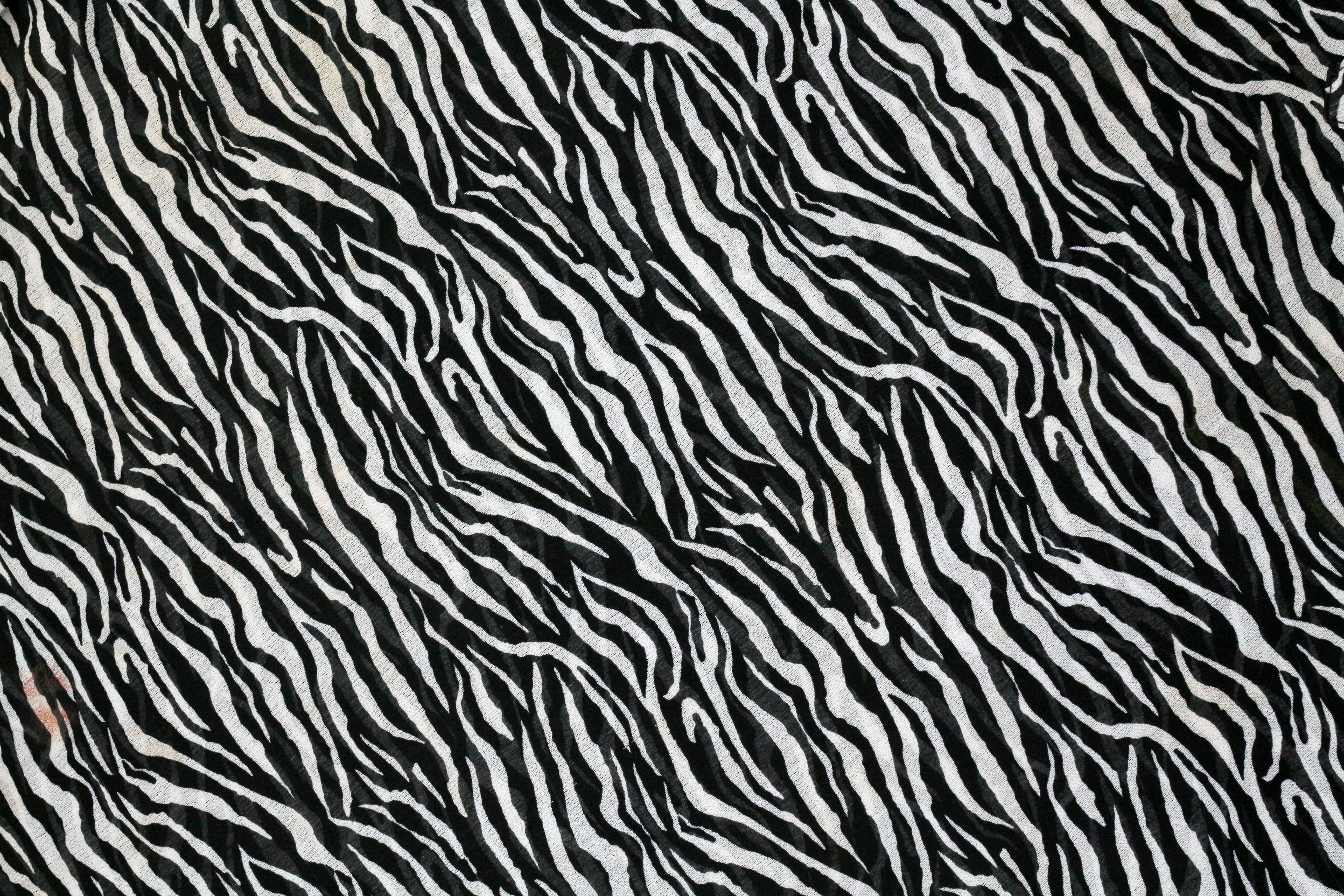 zebra stripe pattern, black and white zebra print fabric, bold black and white zebra stripe, 5K Desktop Wallpaper