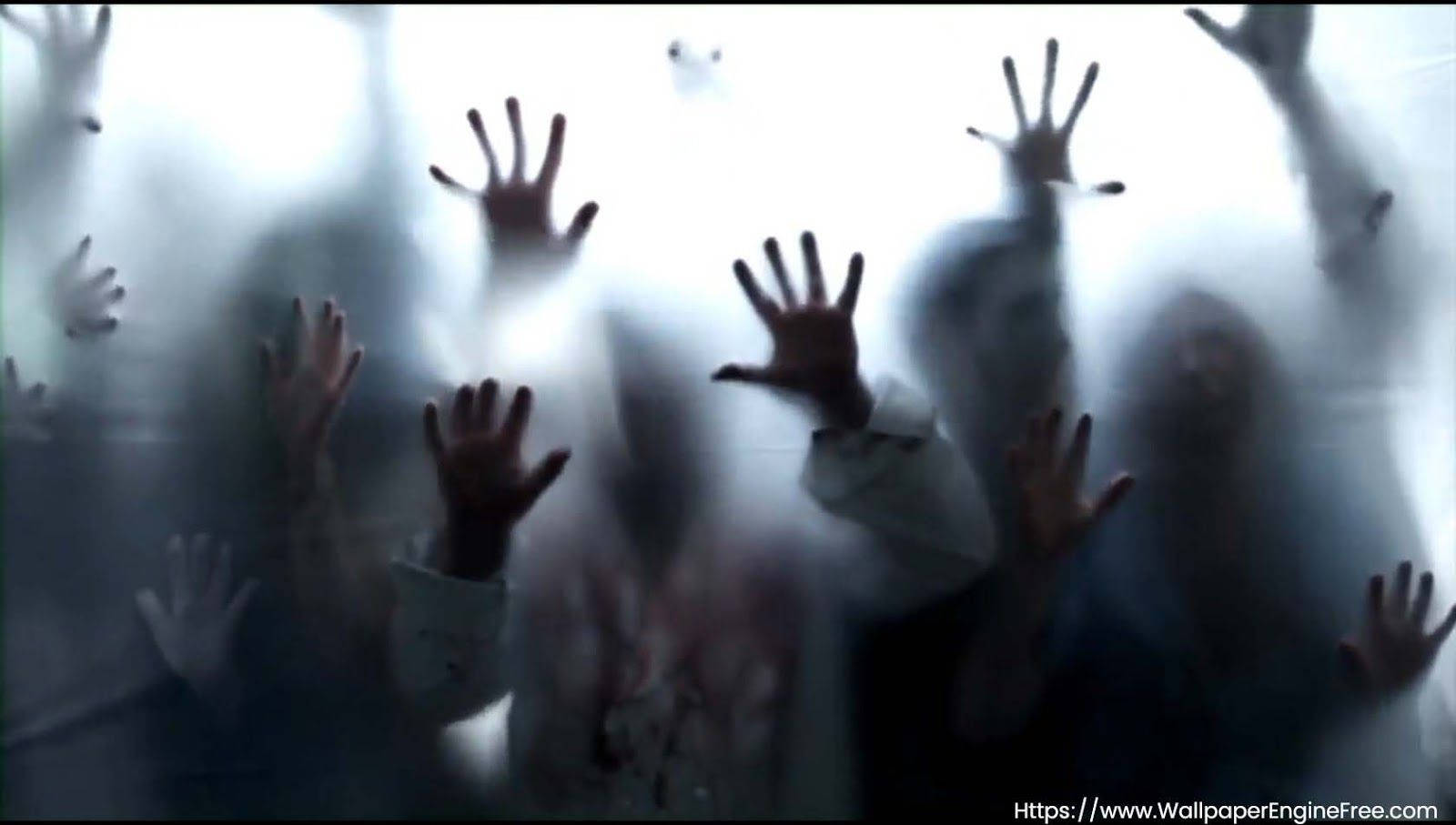 zombie hands, fogged window, chilling supernatural scene, HD Desktop Wallpaper
