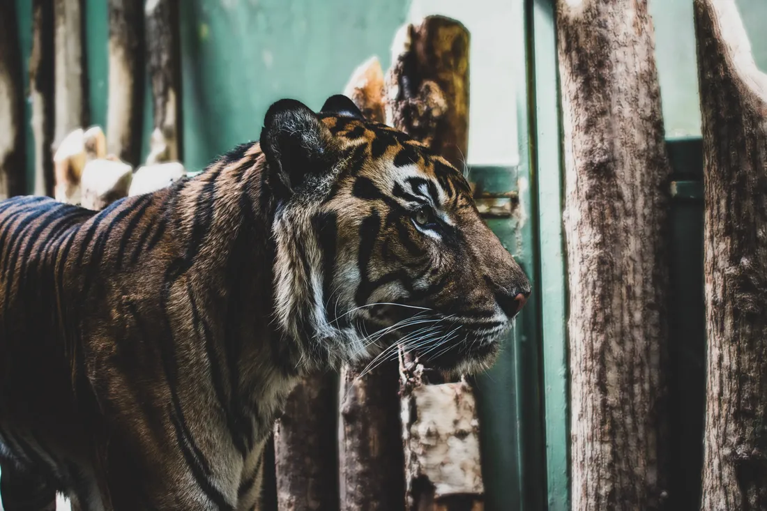 Zoo