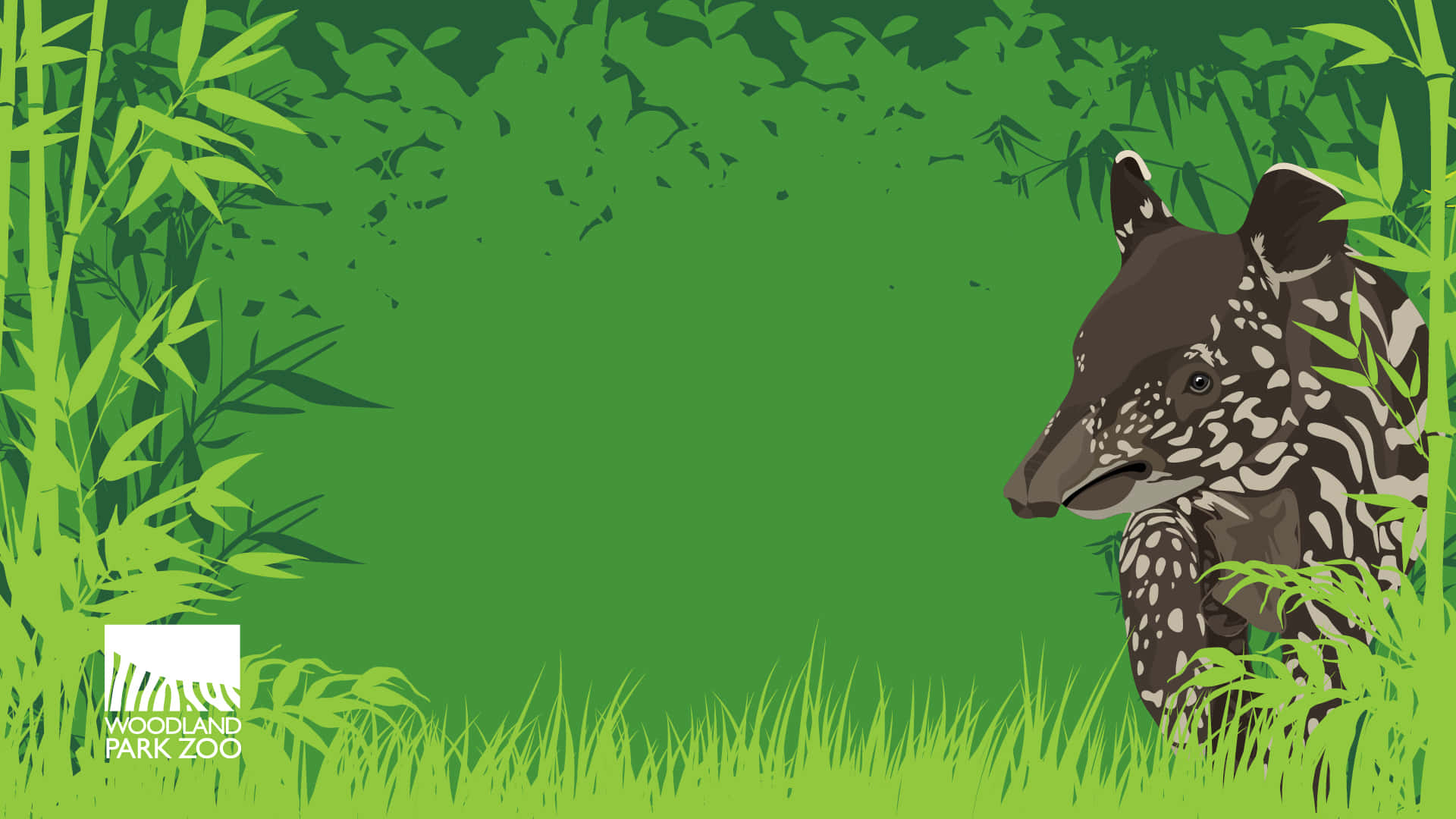 tapir, woodland zoo, bamboo, Full HD Desktop Wallpaper