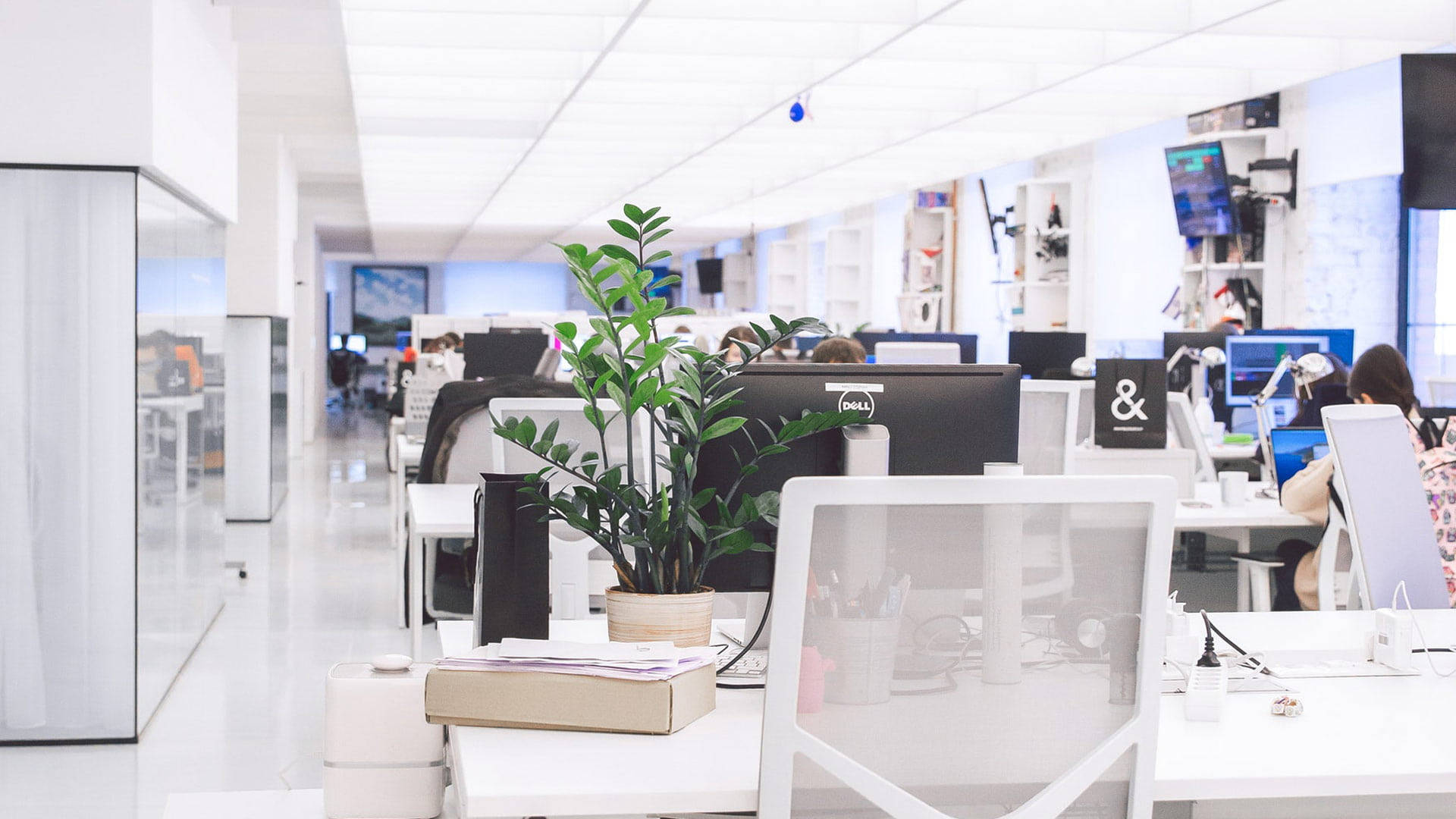 bright fluorescent lighting, modern open-plan office, white desks, Full HD Desktop Wallpaper