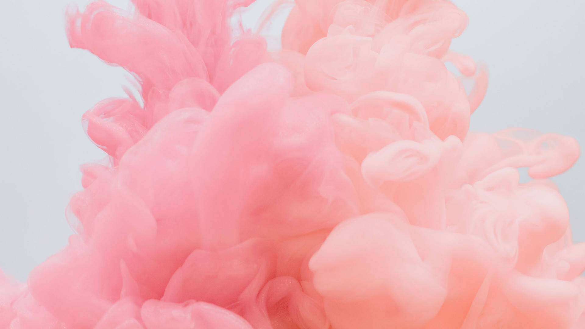Zoom Flower, soft pink ink, pale gray background, Full HD Desktop Wallpaper