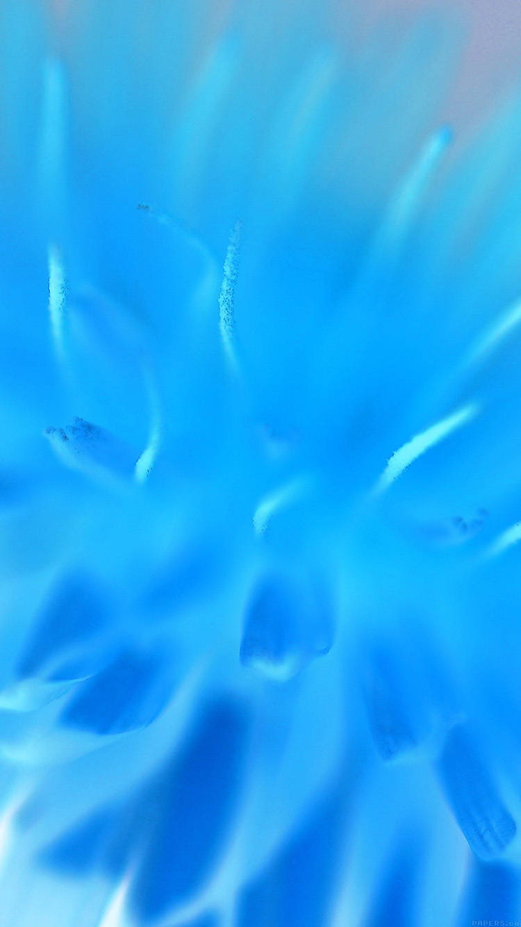 Zoom Flower, 750 x 1334, vibrant blue light, HD Phone Wallpaper