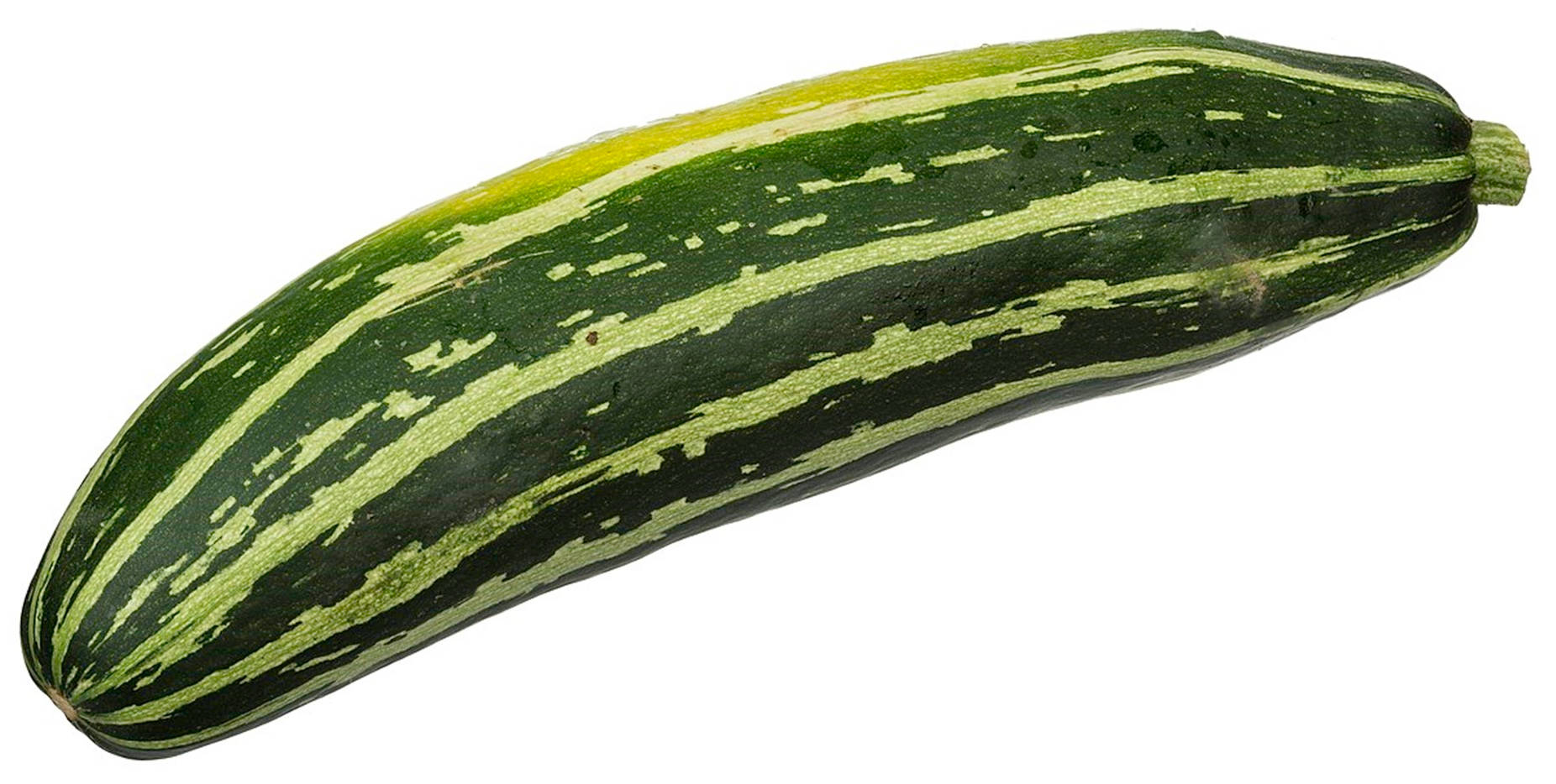 zucchini, striped zucchini, dark green and pale green variegated skin, HD Desktop Wallpaper