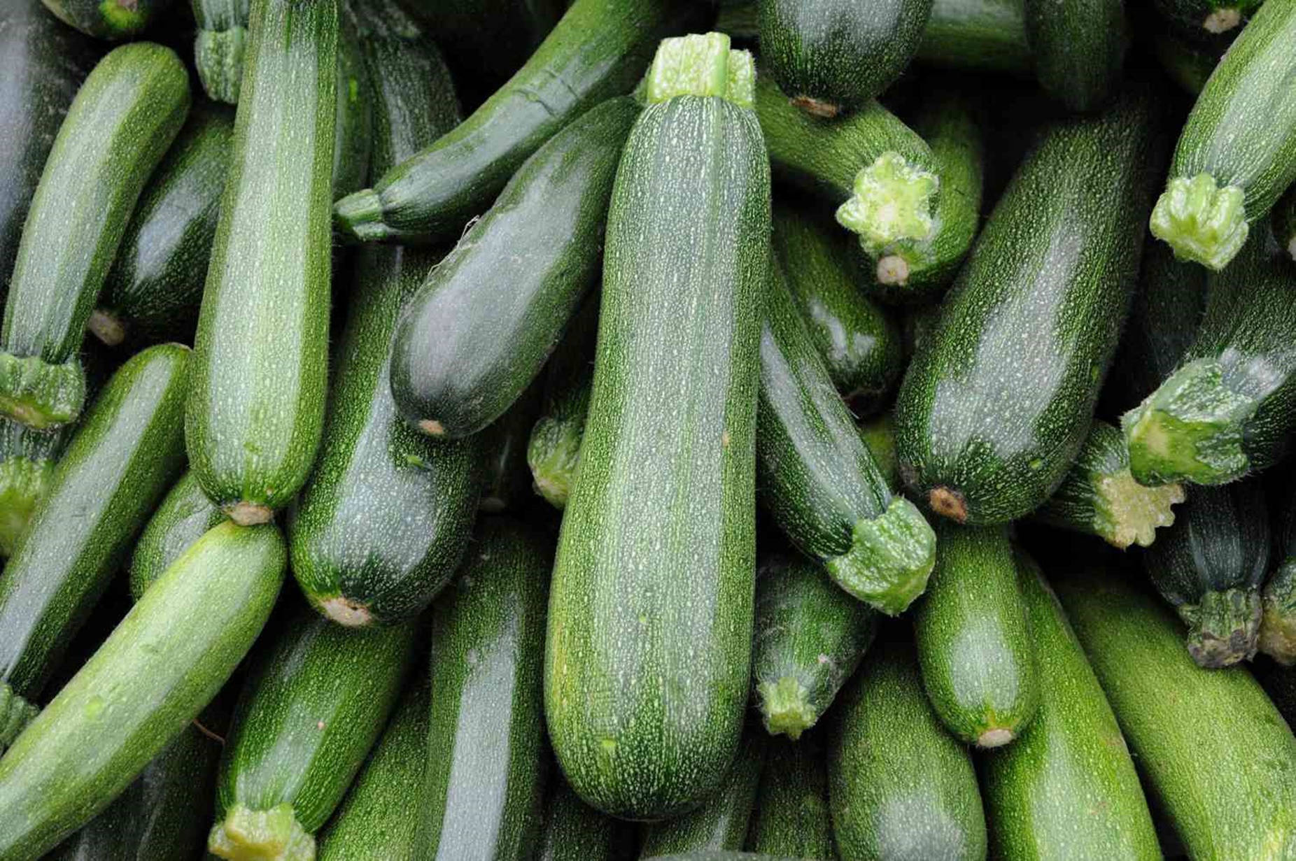 zucchini, cucurbita plant species, green, HD Desktop Wallpaper