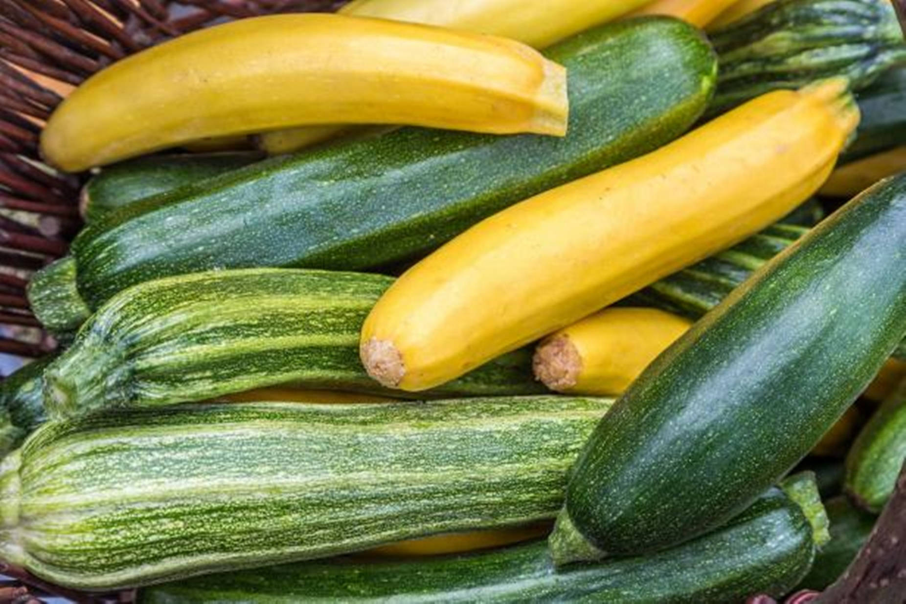zucchini, garden, woven basket, HD Desktop Wallpaper