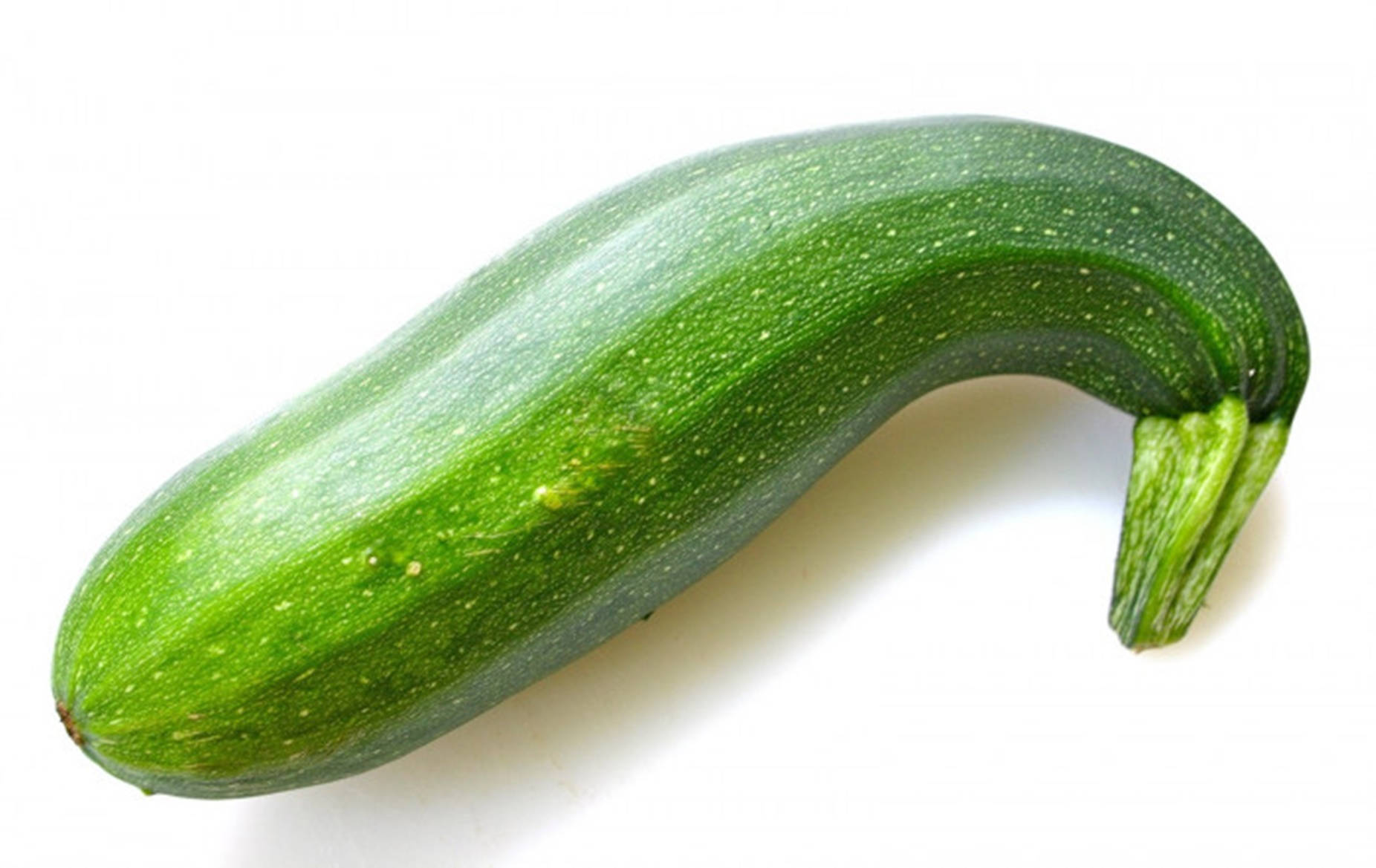 zucchini, curved green body, vibrant green, HD Desktop Wallpaper