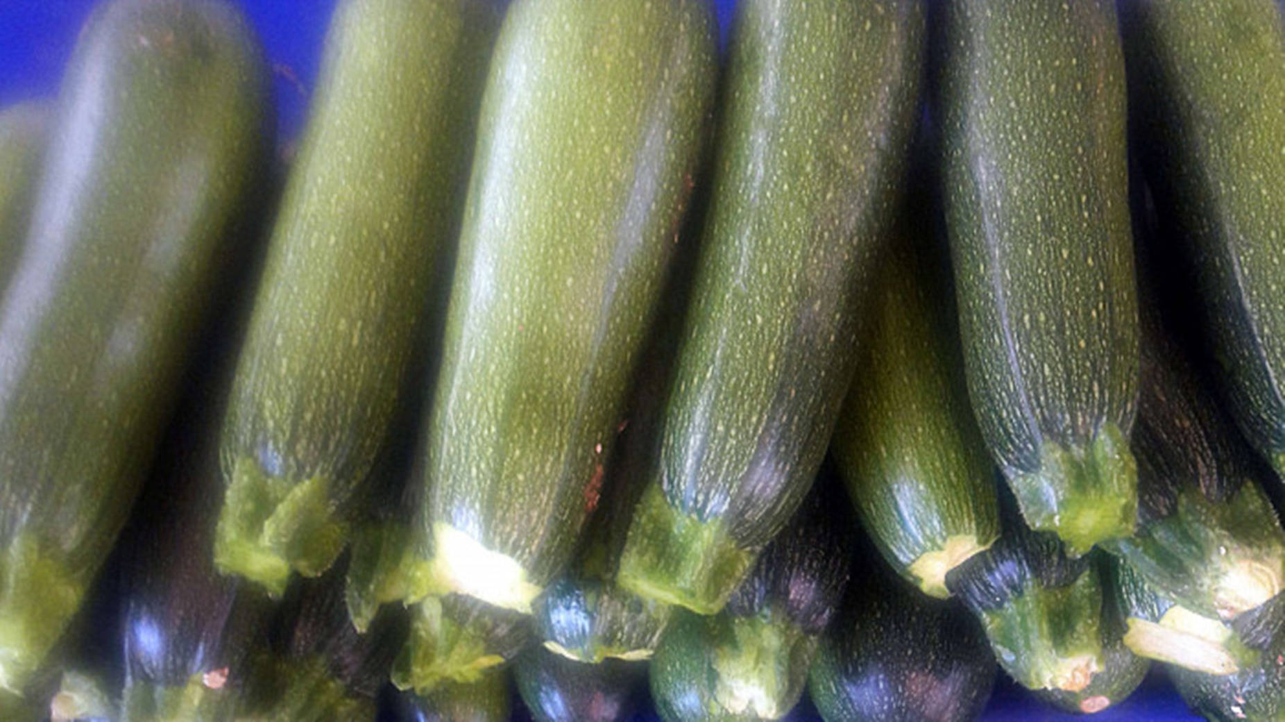 zucchini, baby marrow variety, fresh green, HD Desktop Wallpaper